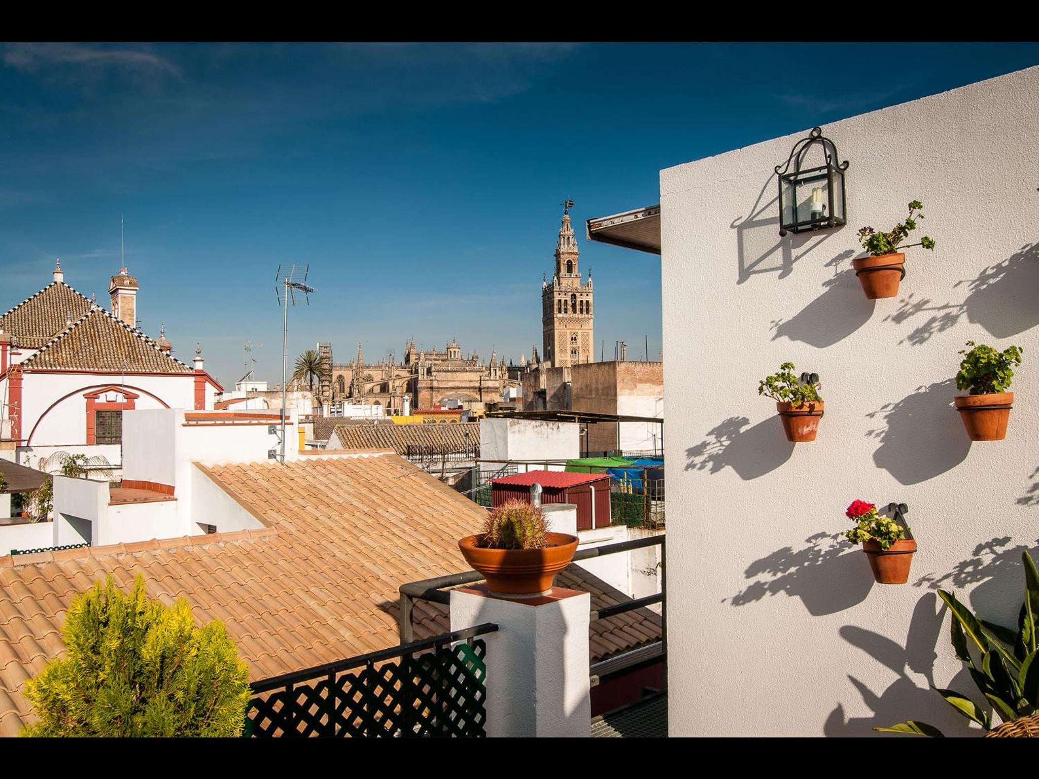 Hotel Murillo — 11