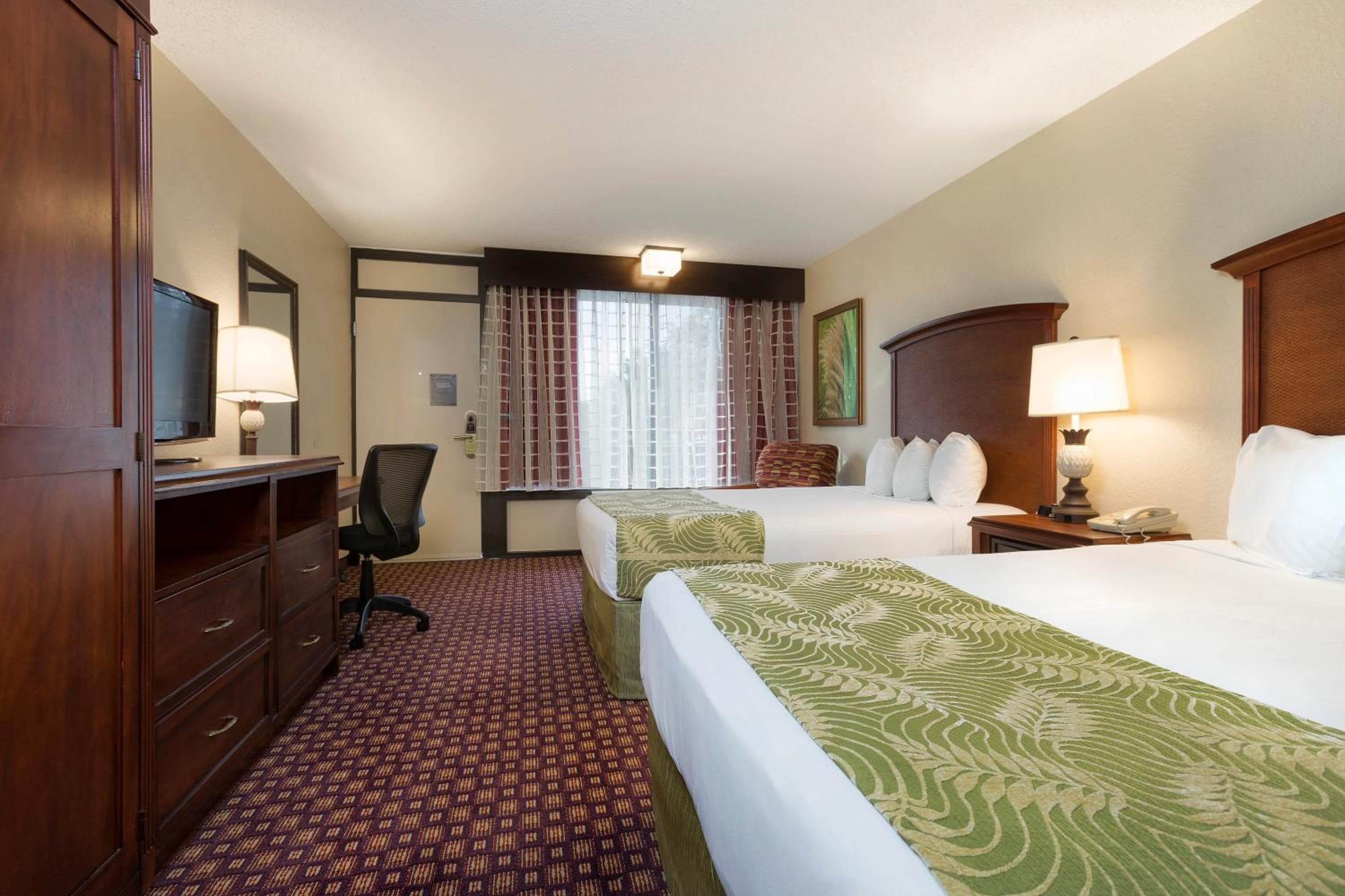 Rosen Inn International Near The Parks — 14