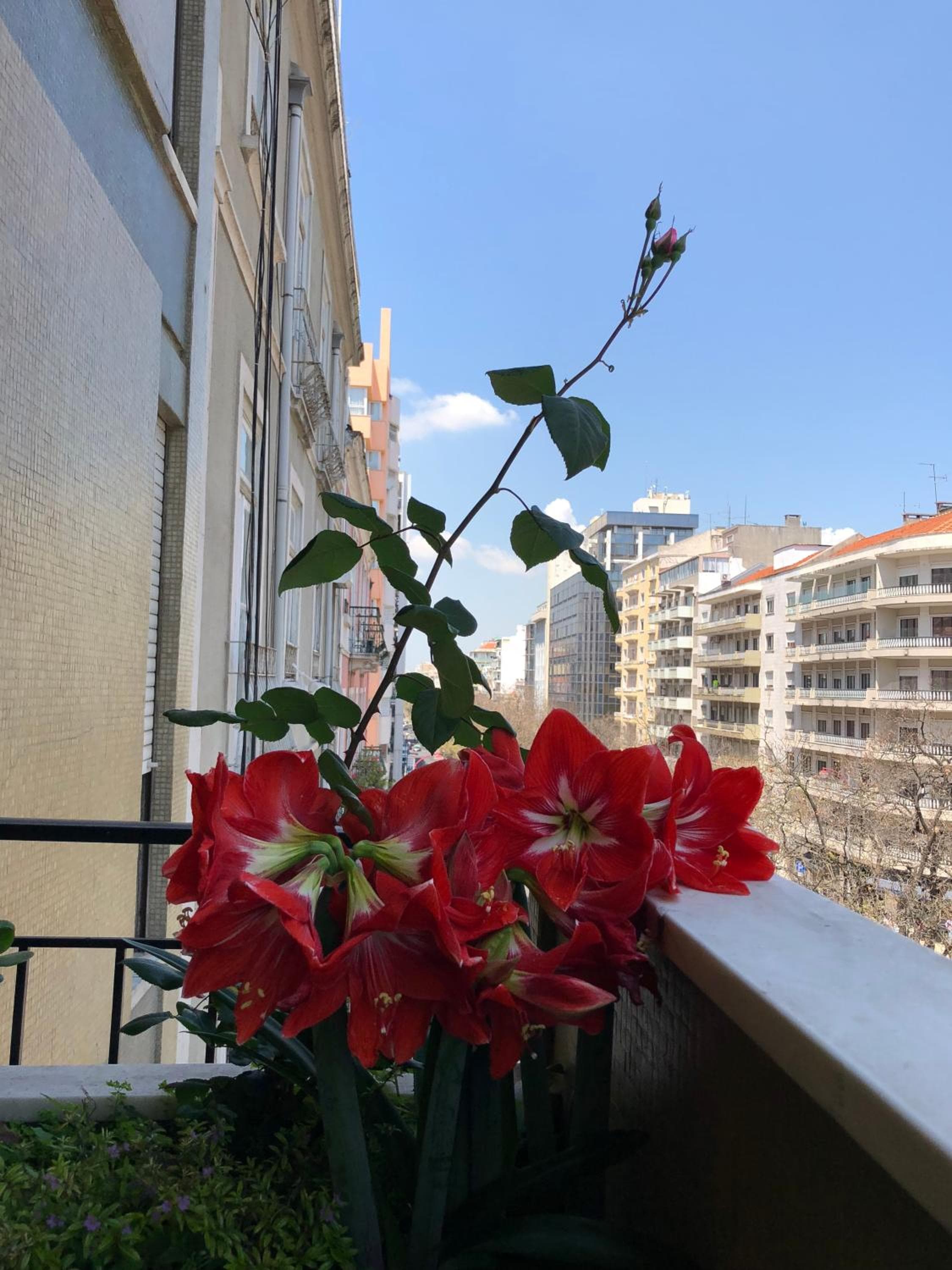 Albergo Imperatore — 18