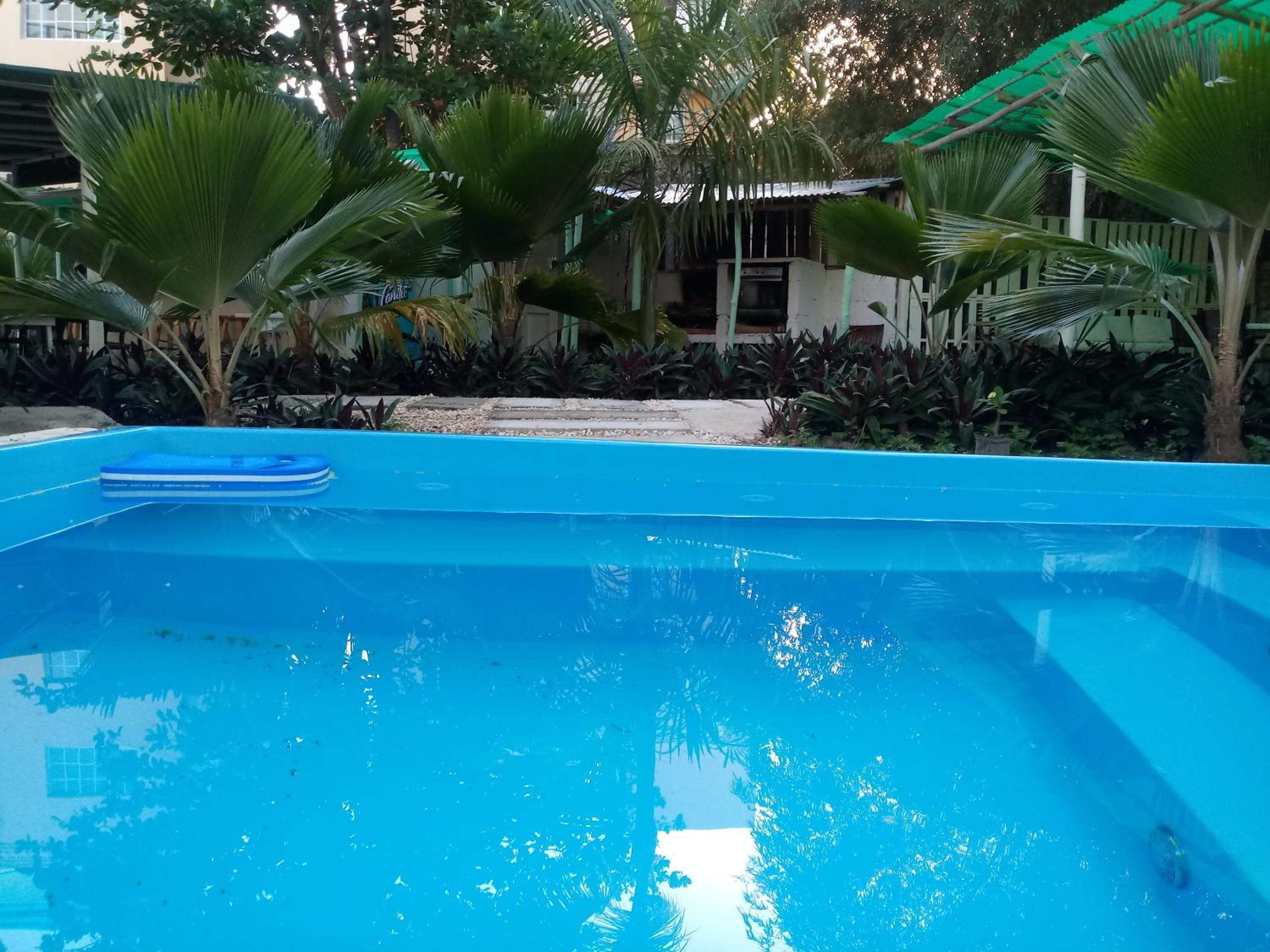 Viaggiatori ecologici della Riviera Punta Cana — 5