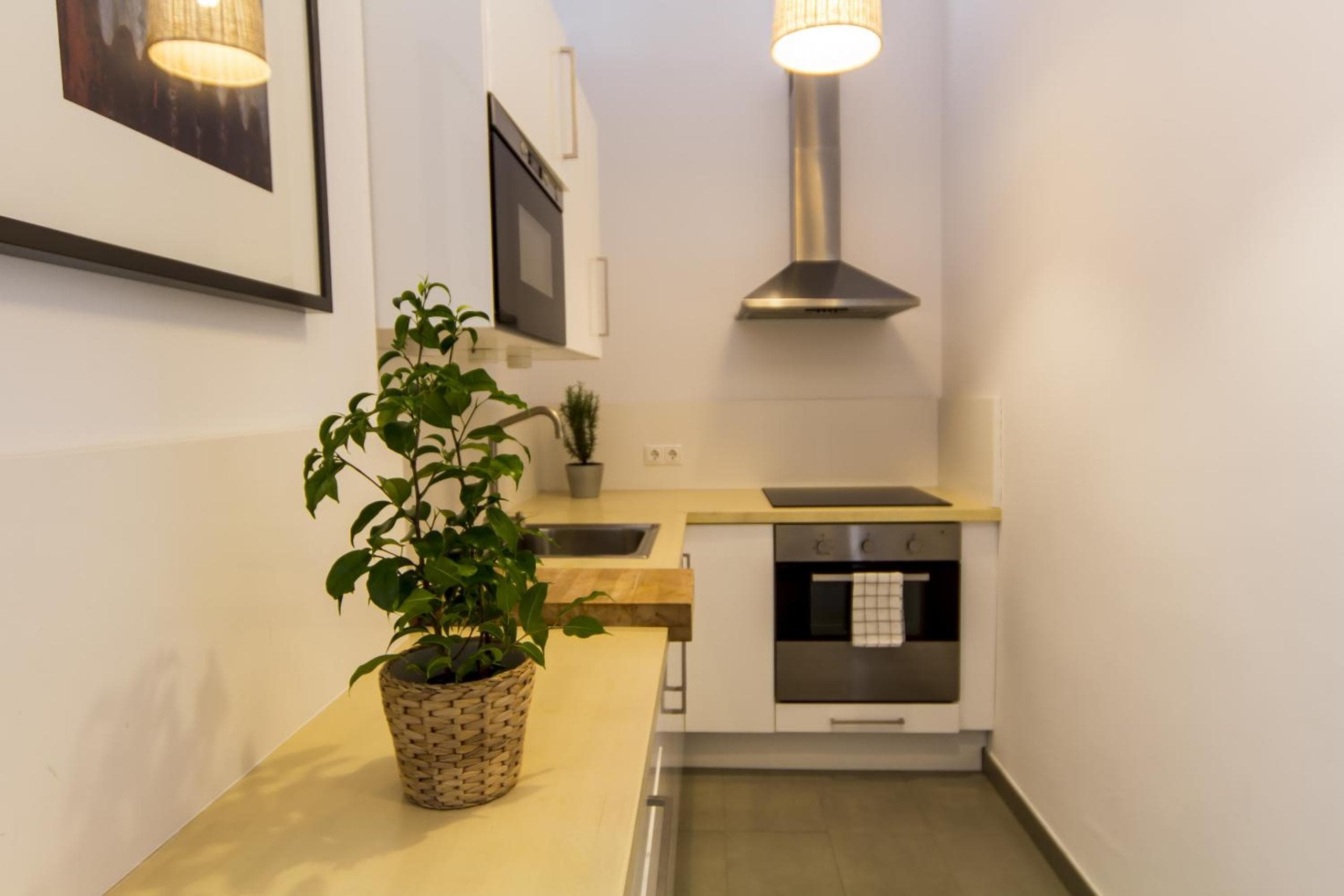 Apartamentos Málaga Picasso — 3