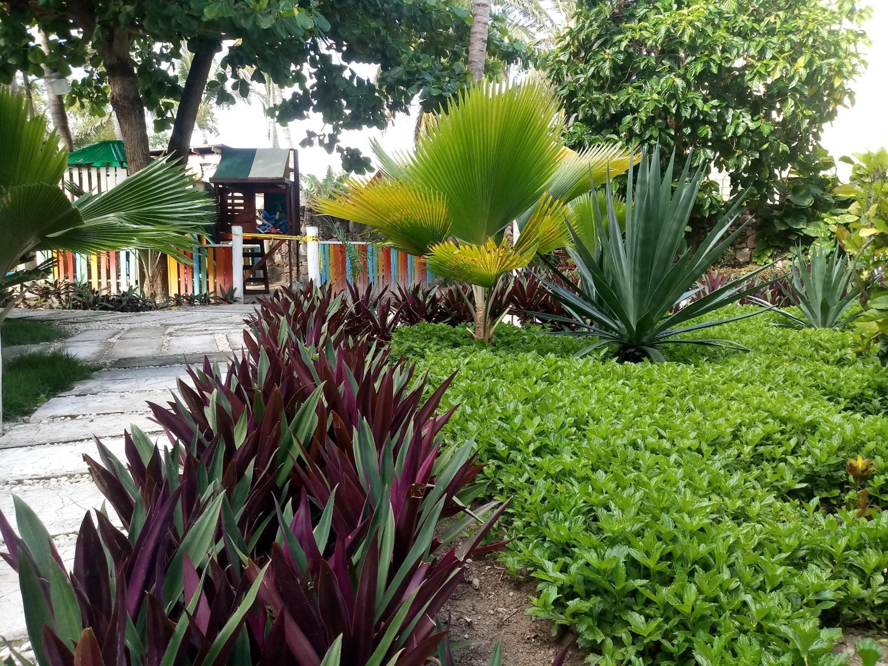 Riviera Punta Cana Eco Travelers — 22