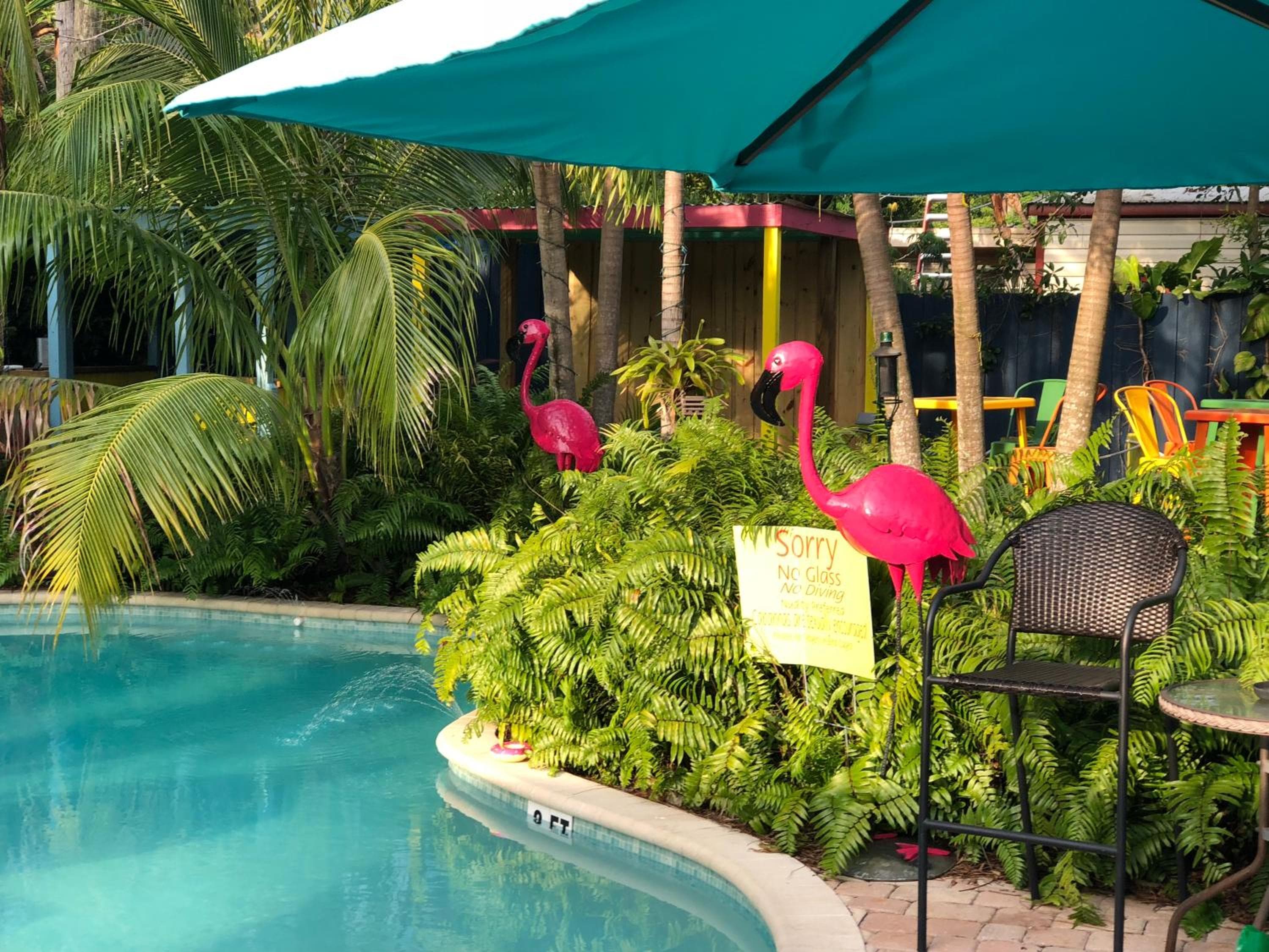 Calypso Inn Wilton Resort gay per uomini — 6