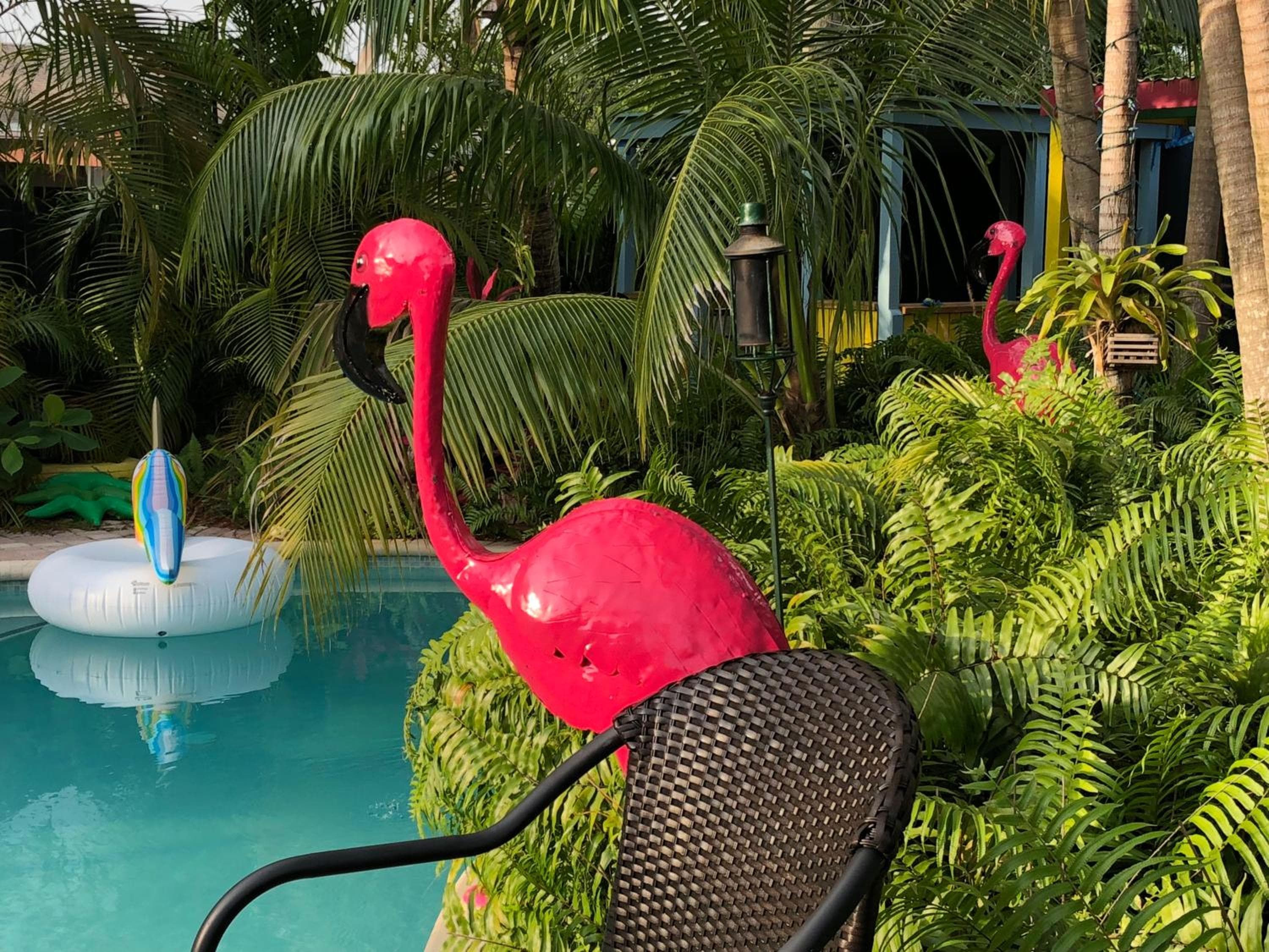 Calypso Inn Wilton Resort gay per uomini — 8