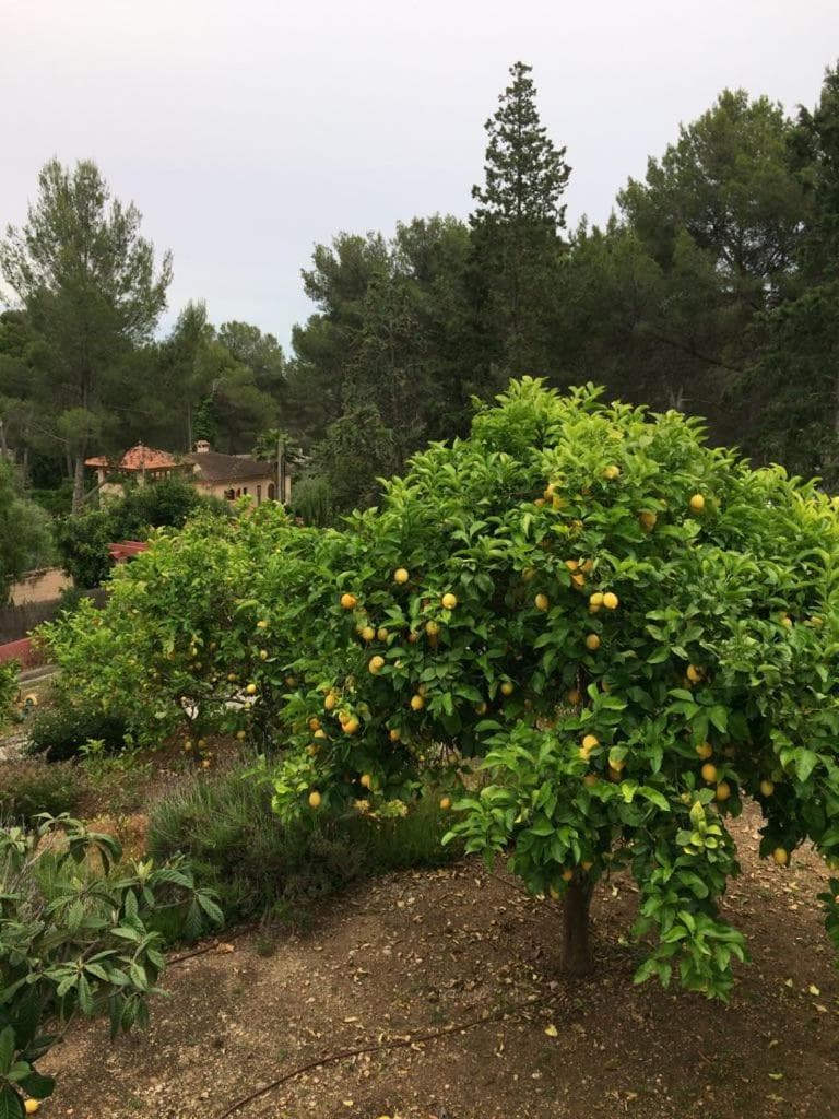 Casa de las Vistas — 16