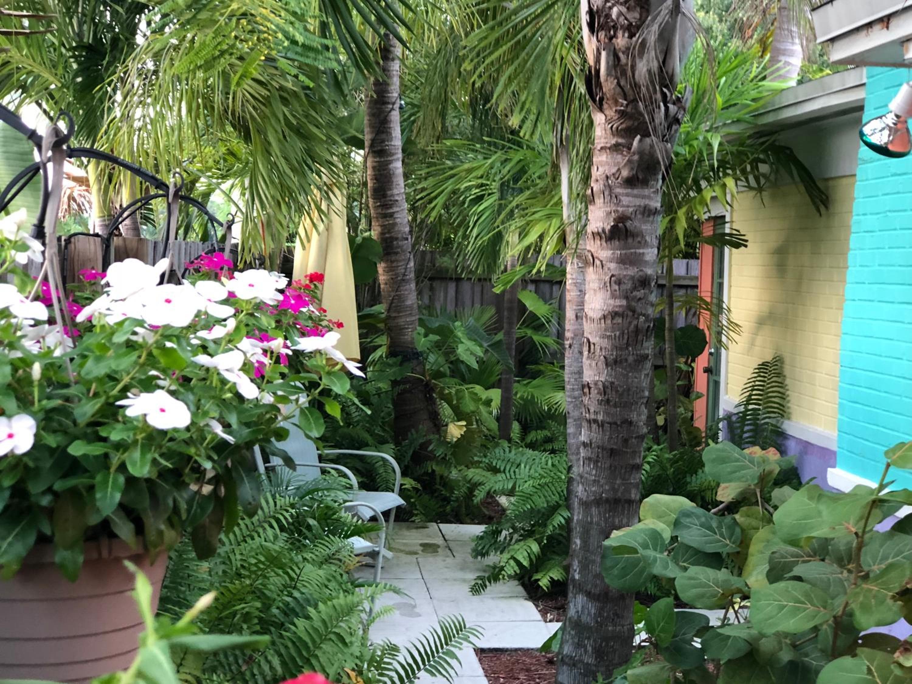 Calypso Inn Wilton Resort gay per uomini — 12
