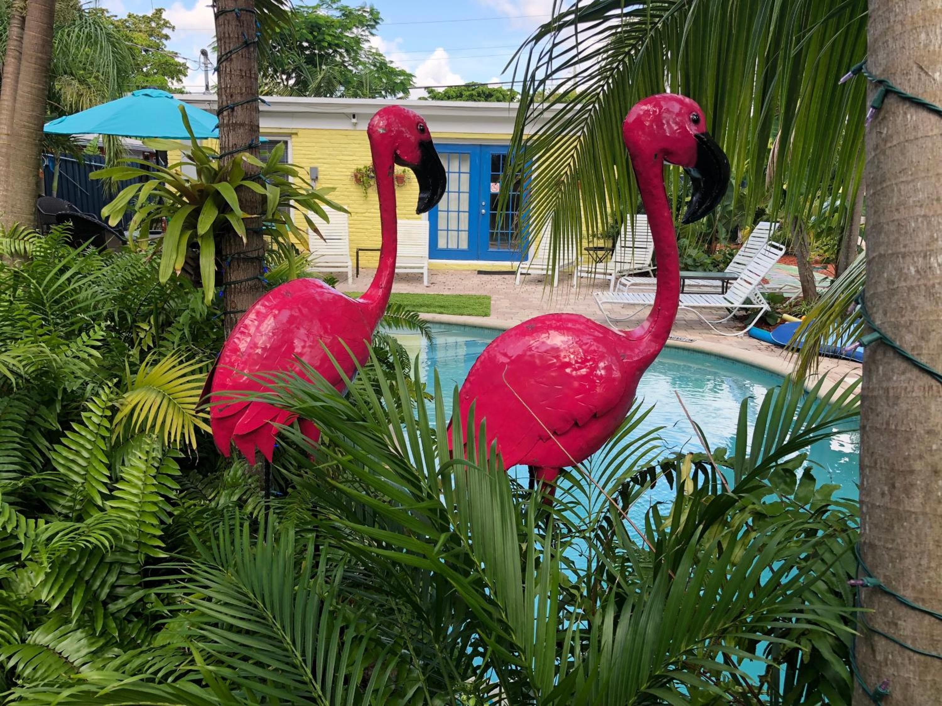 Calypso Inn Wilton Resort gay per uomini — 2