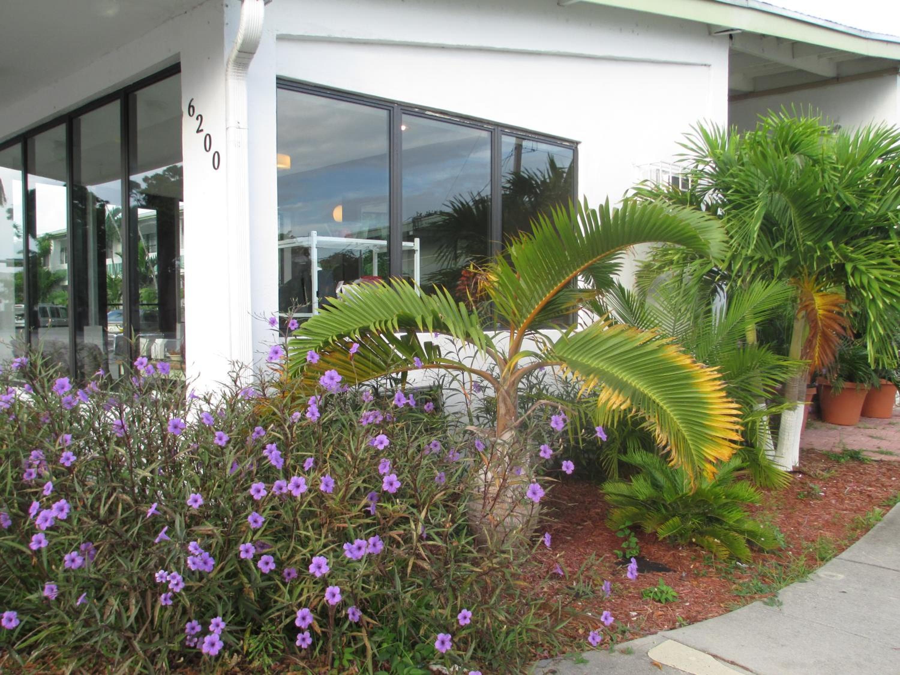 Shalimar Motel — 26