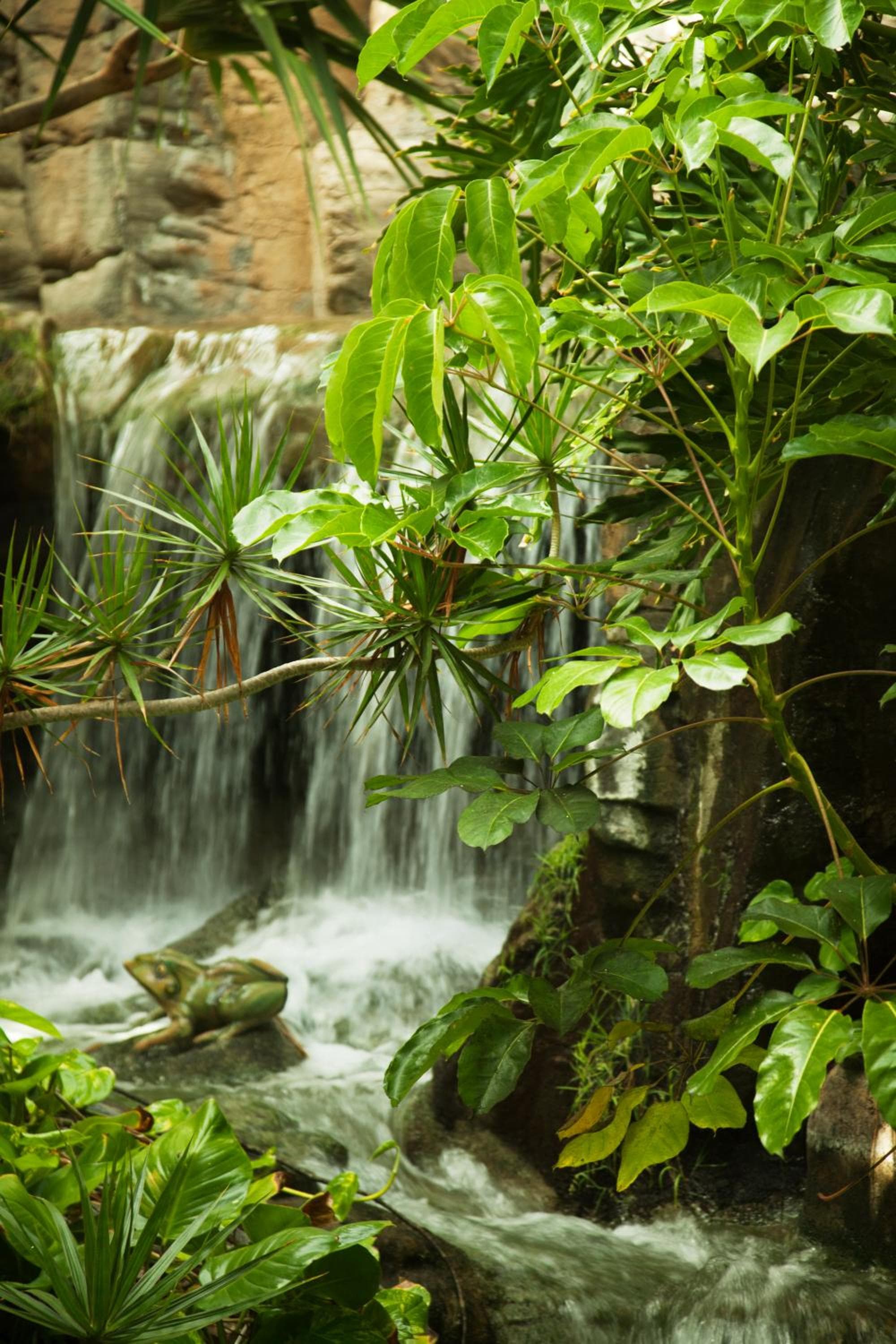 Adrián Hoteles Jardines de Nivaria — 24
