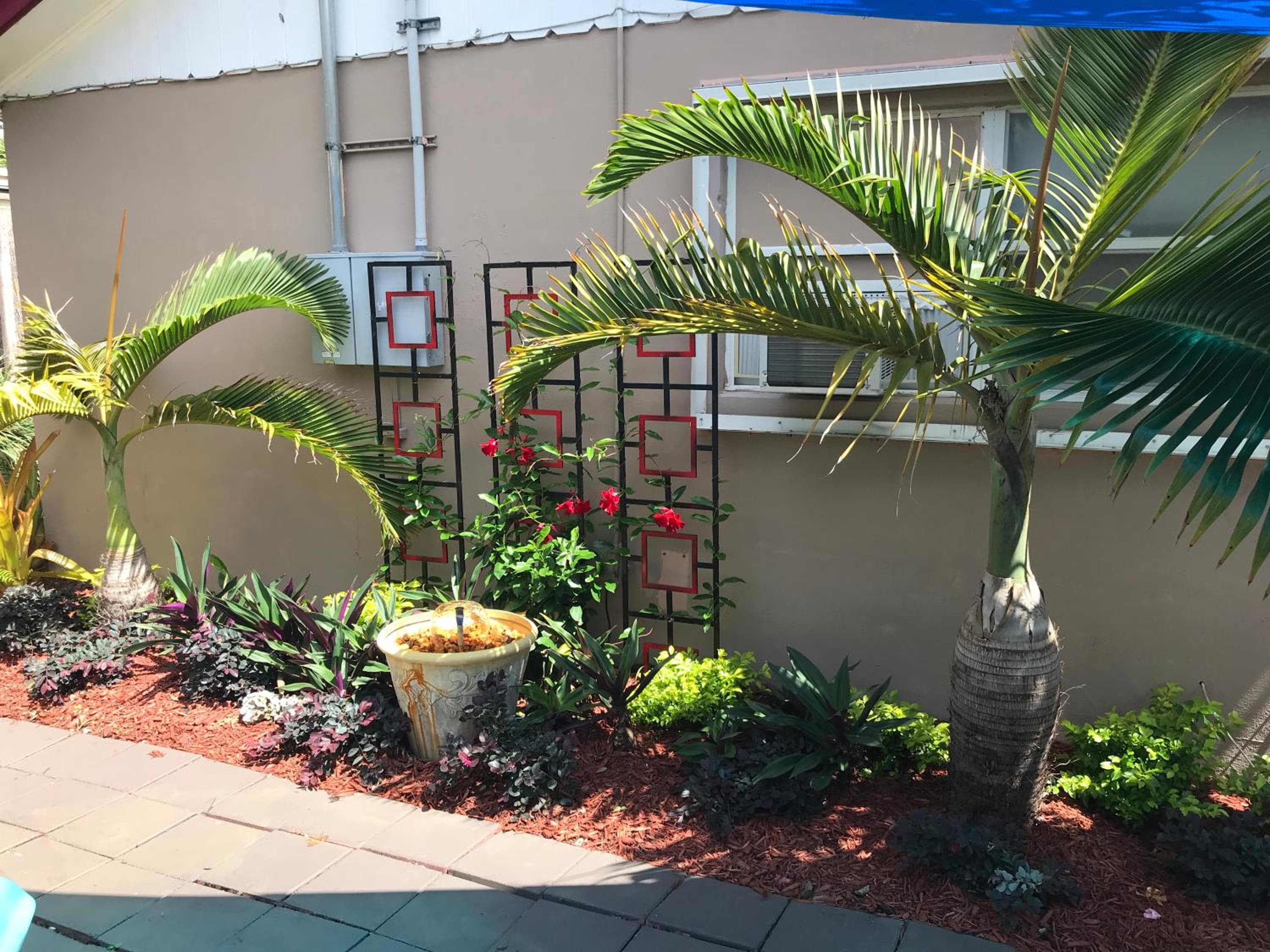 INN LEATHER GUEST HOUSE-GAY MALE ONLY — 7