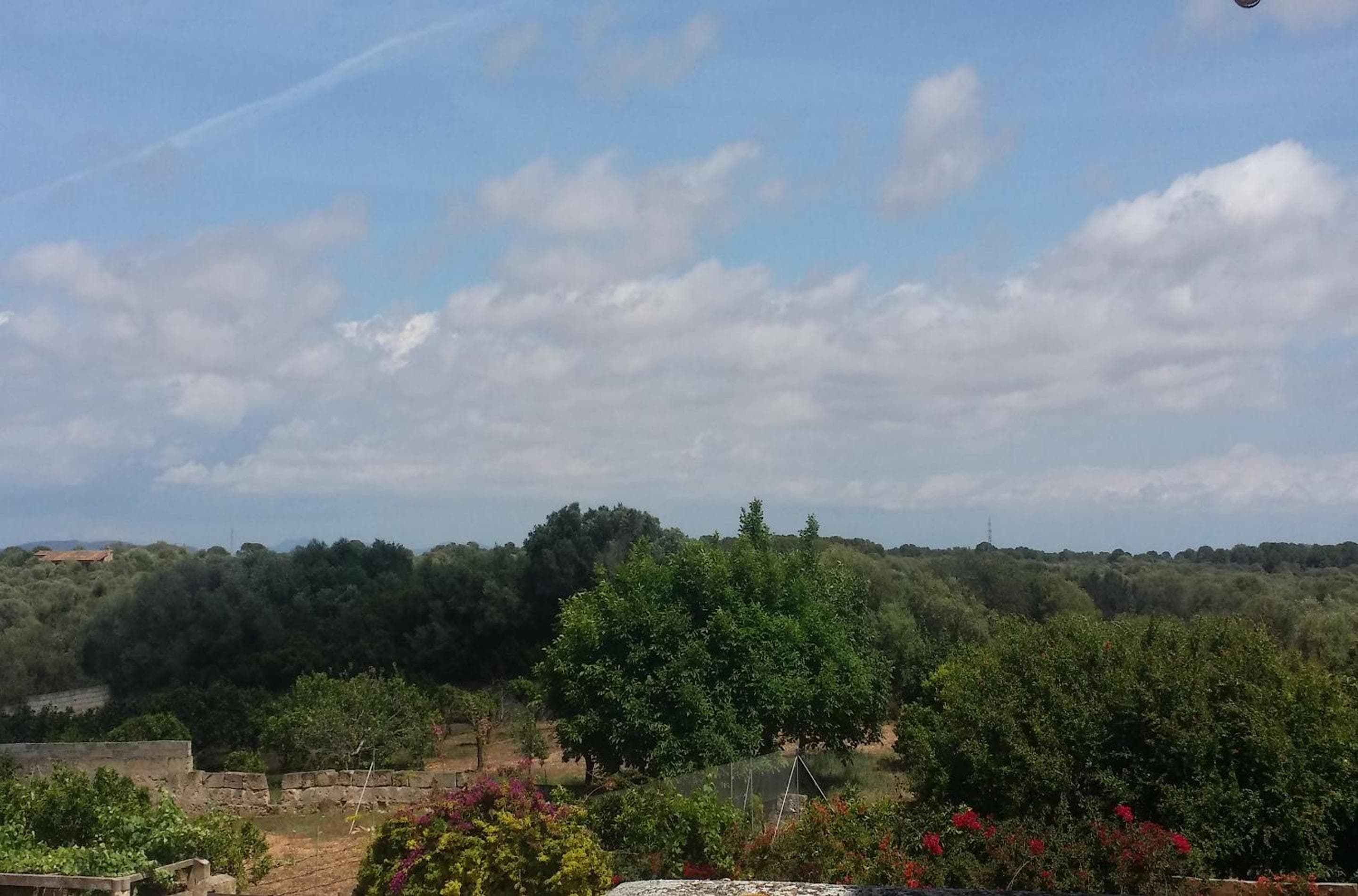 Property Son Marina — 7