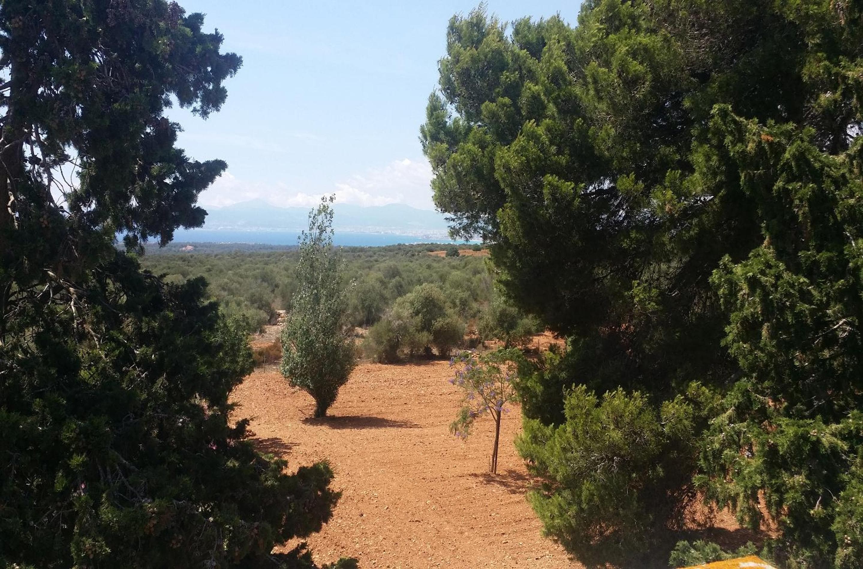 Property Son Marina — 30