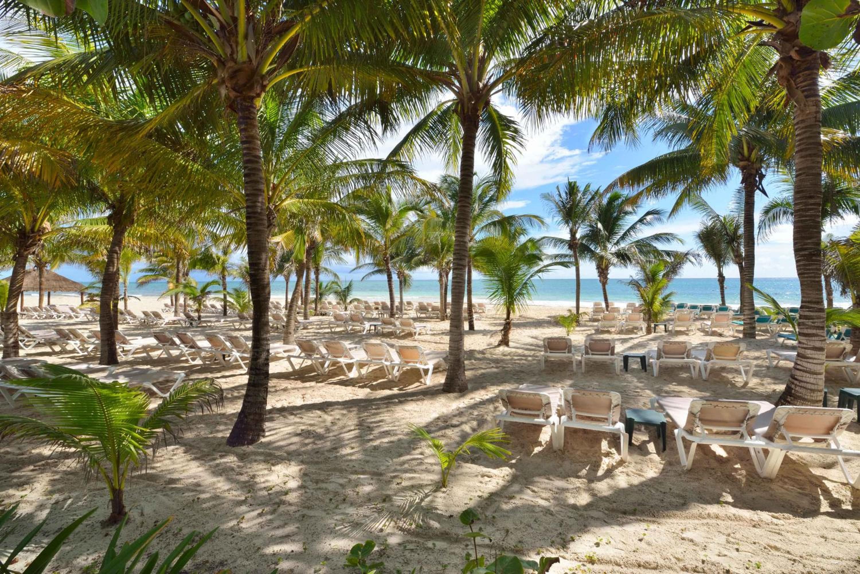Catalonia Playa Maroma - All Inclusive — 18