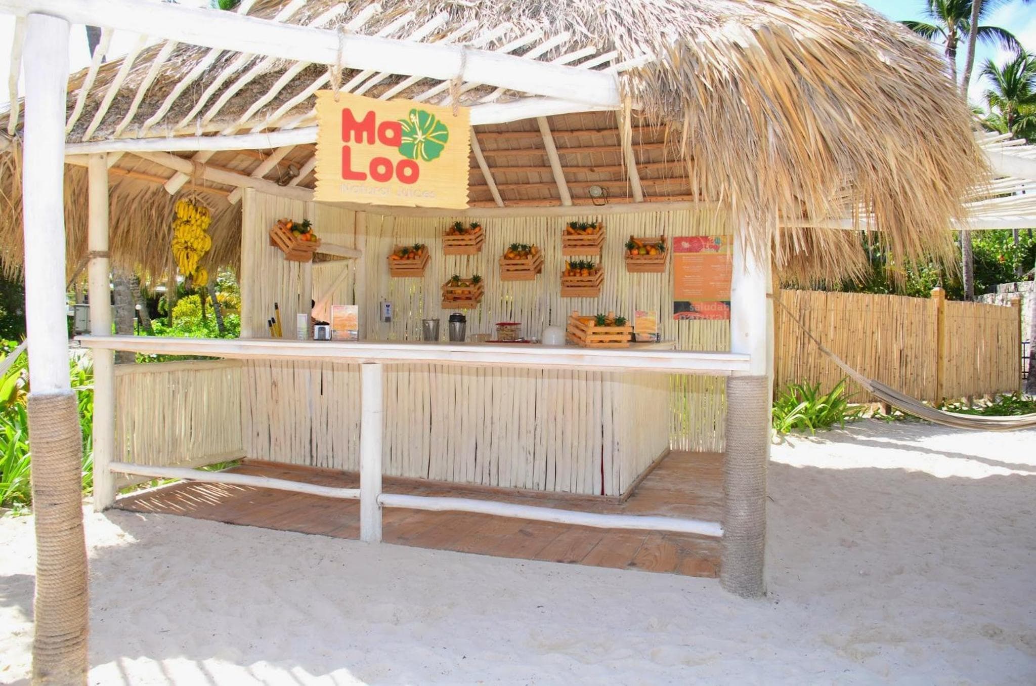 Catalonia Punta Cana - All Inclusive — 16