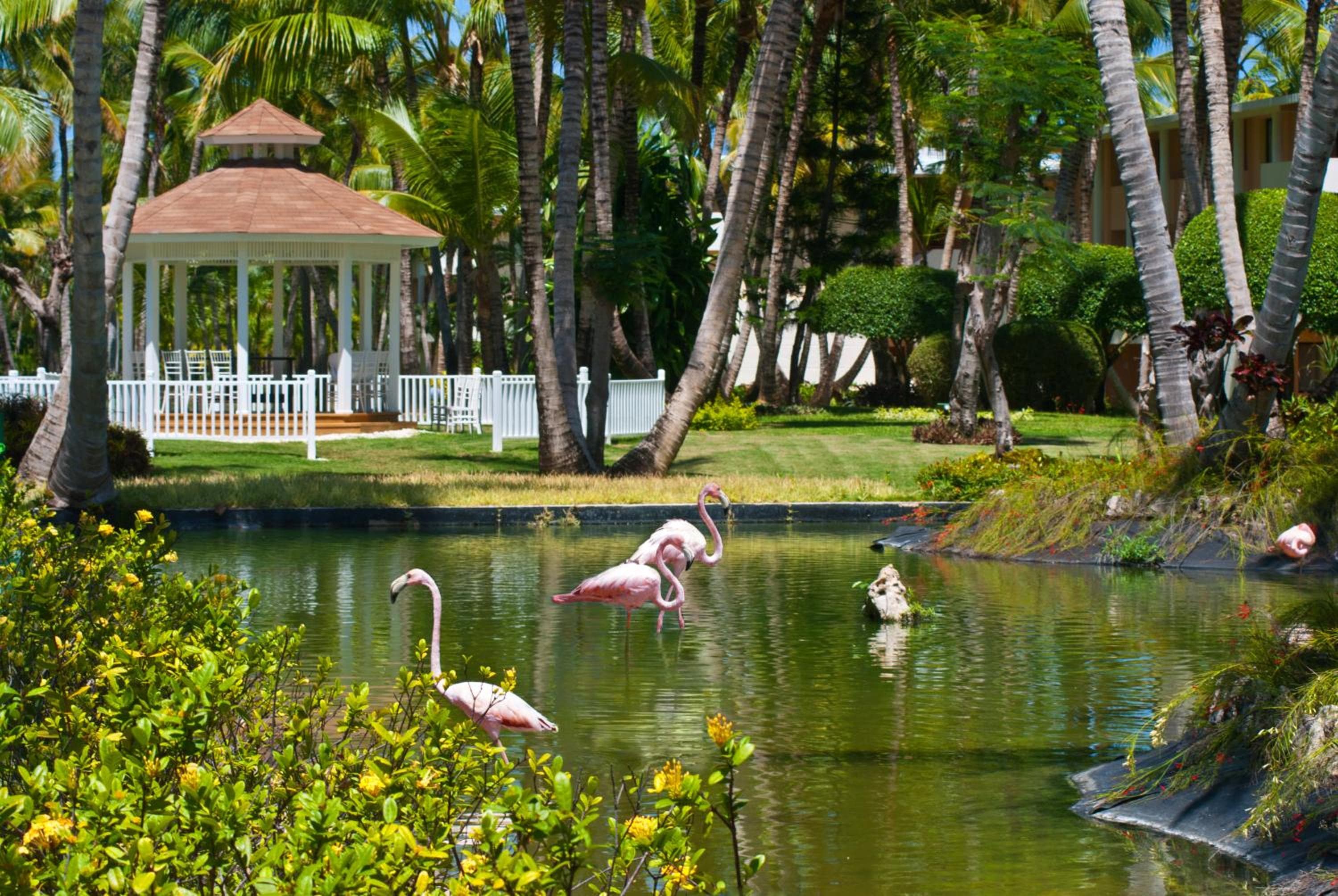 Catalonia Punta Cana - All Inclusive — 21
