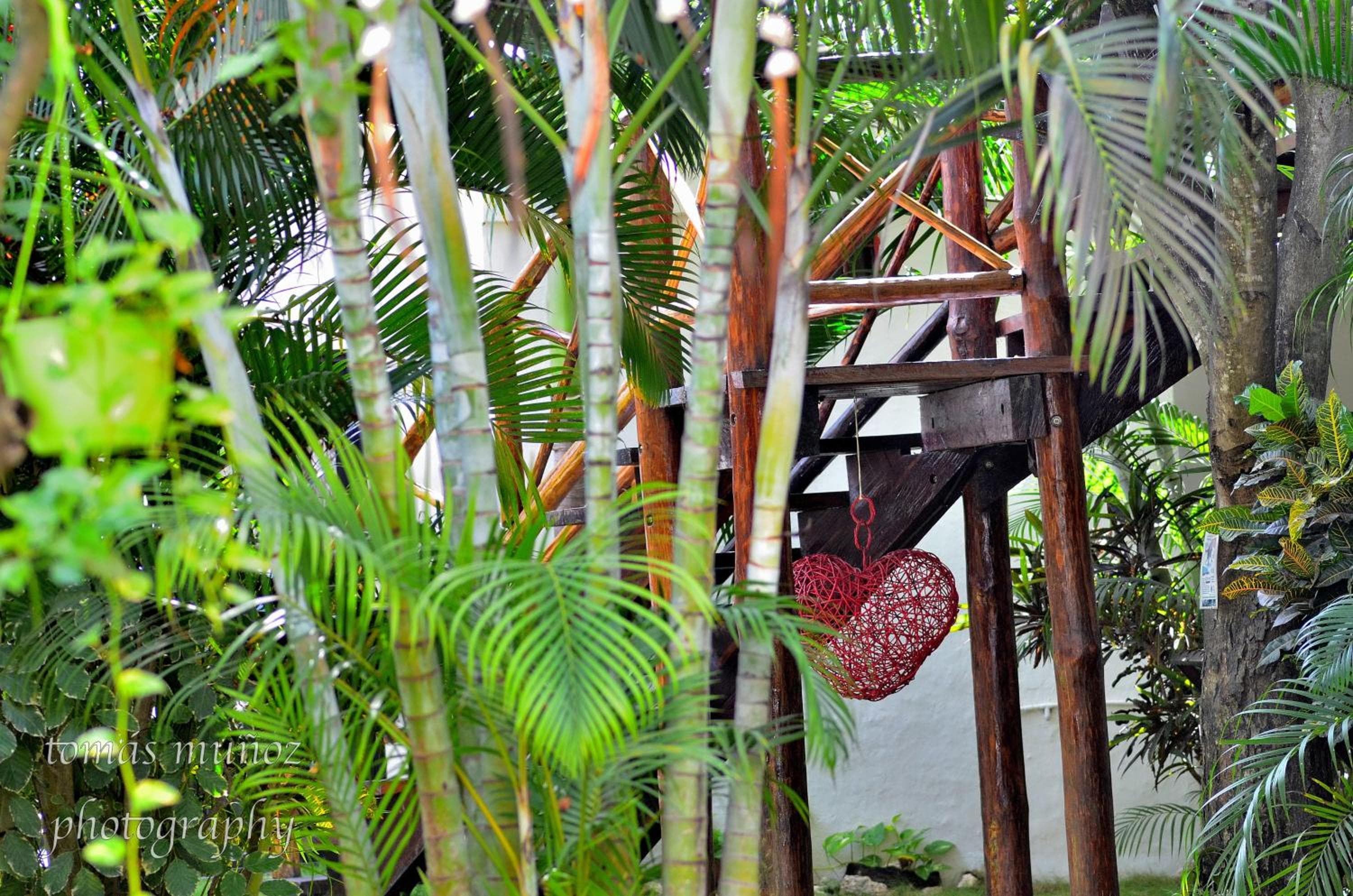 Pacha Tulum Boutique Hotel — 8