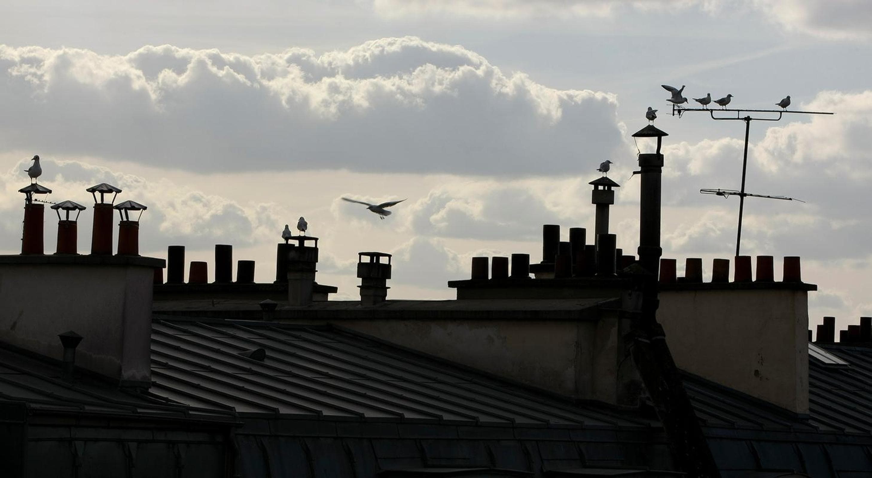 Le Quartier Bercy-Square — 10