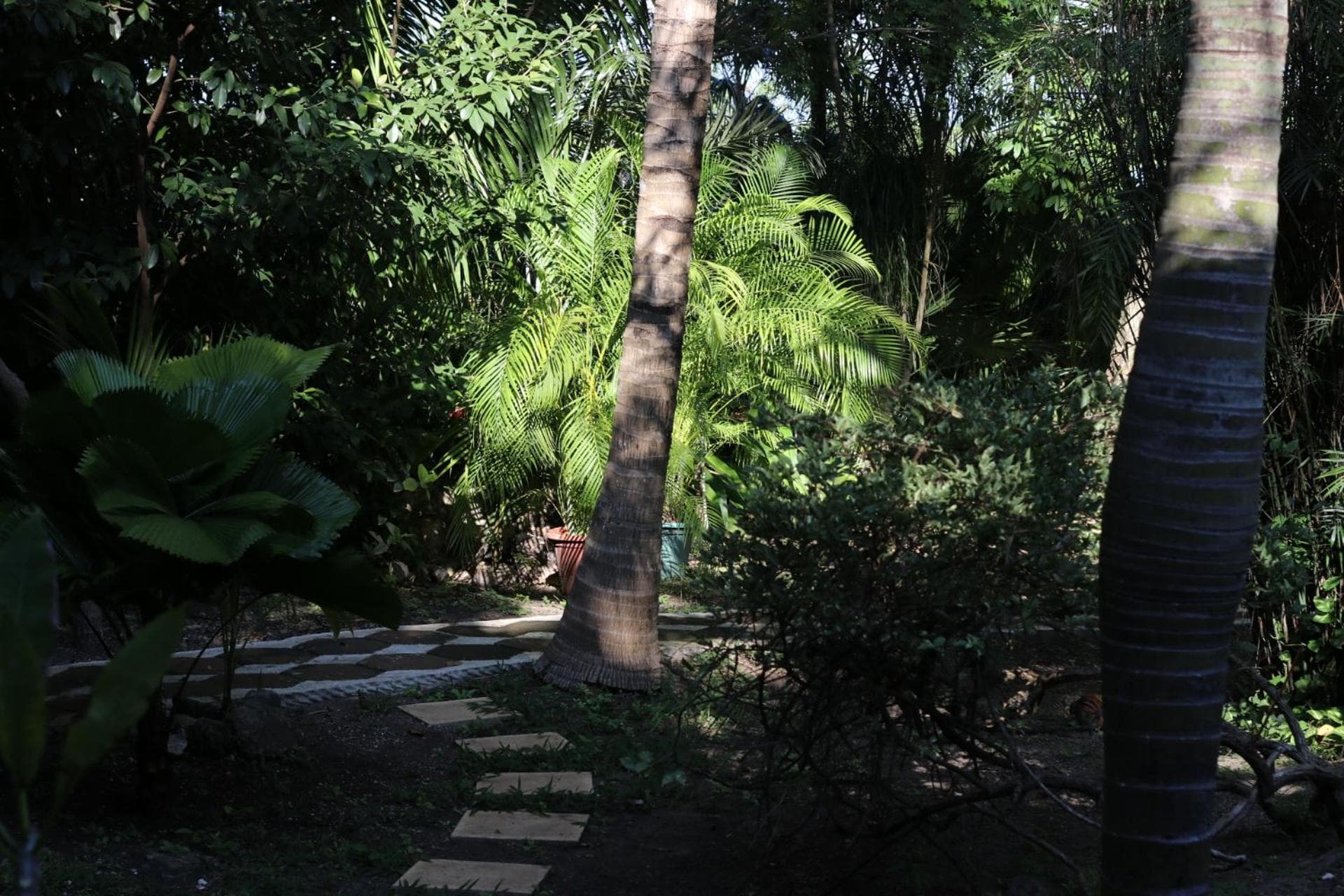 Casa Kin33 — 18