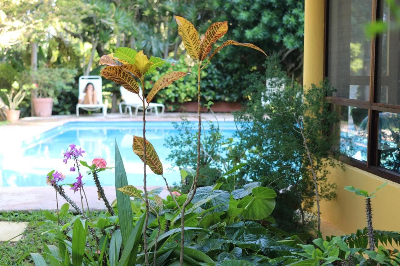 Casa Kin33 — 17