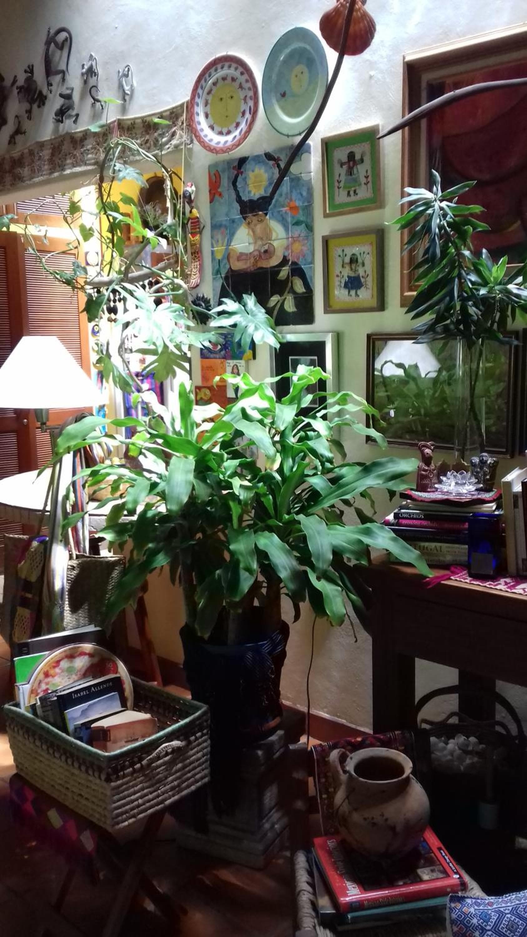Casa Kin33 — 21
