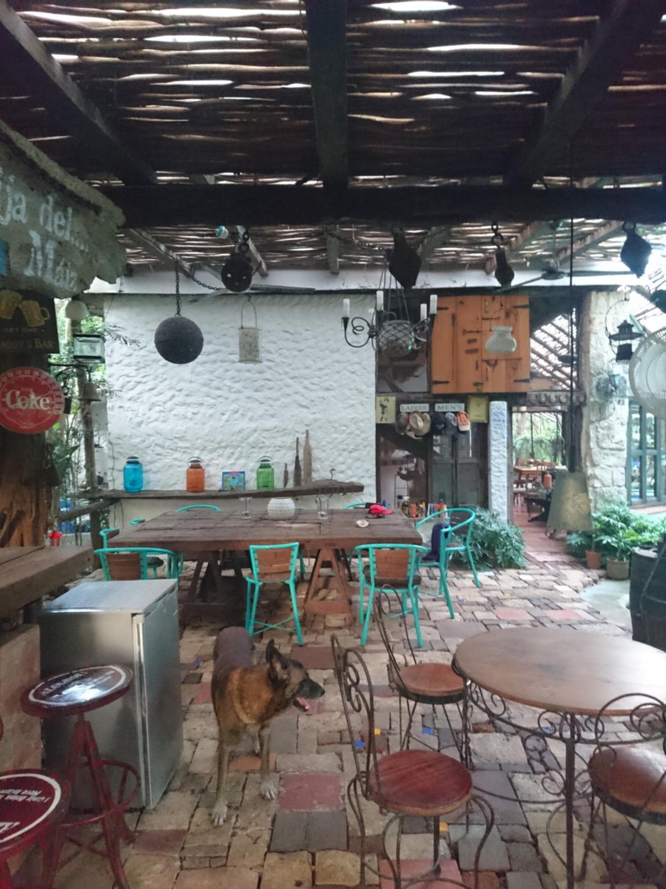 Jungle Lodge CANCUN AEROPUERTO — 2
