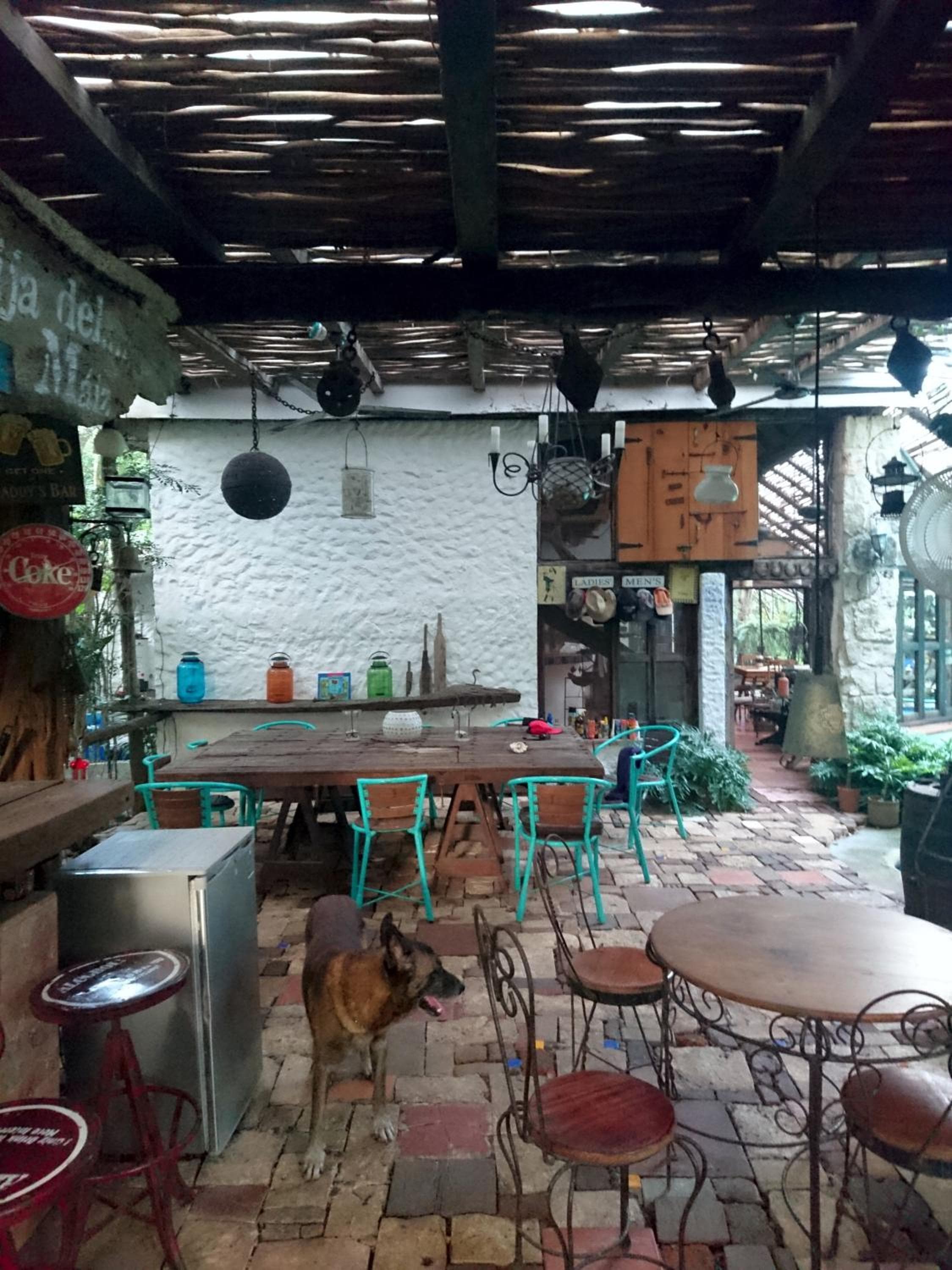 Dschungel Lodge CANCUN FLUGHAFEN — 27