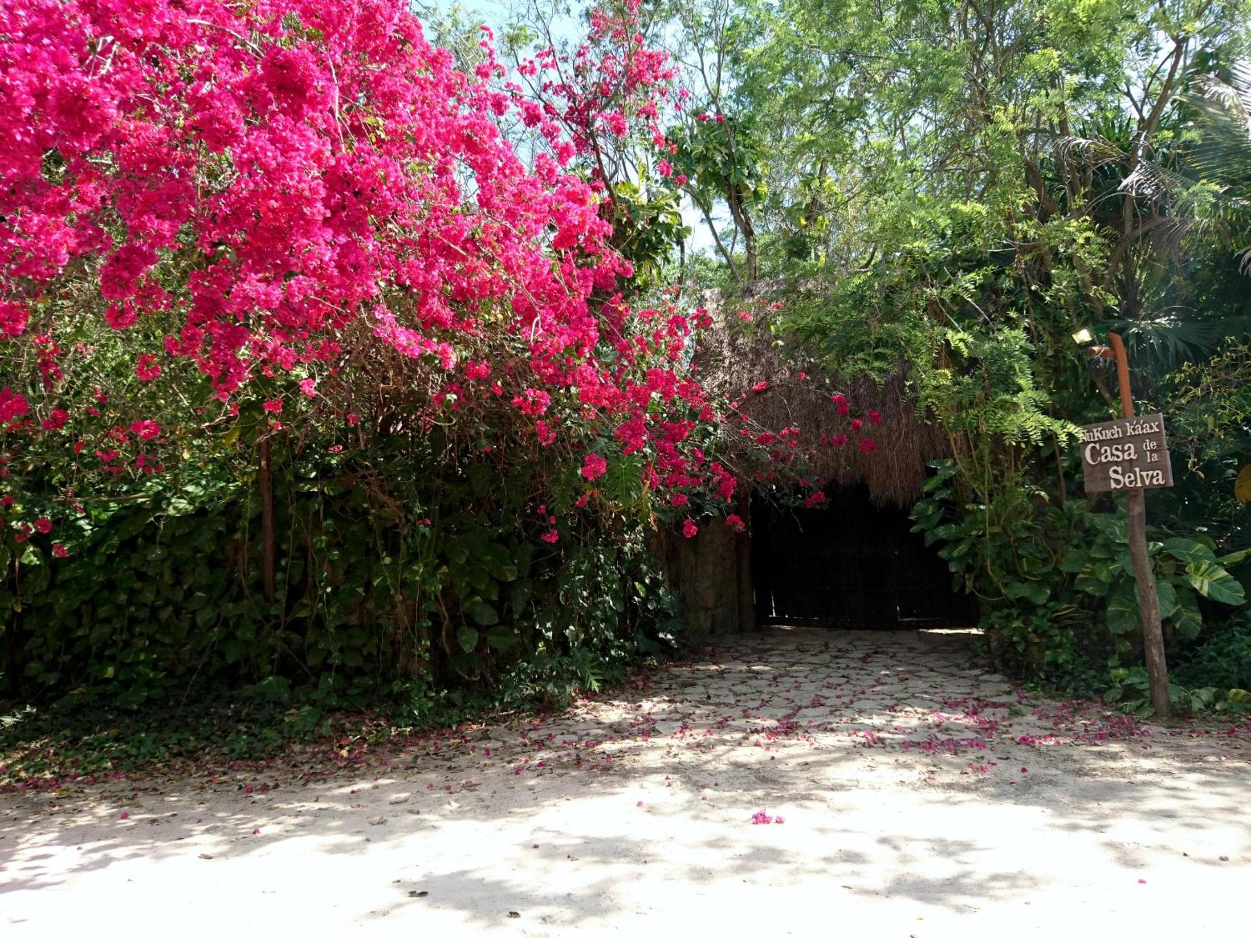Dschungel Lodge CANCUN FLUGHAFEN — 23