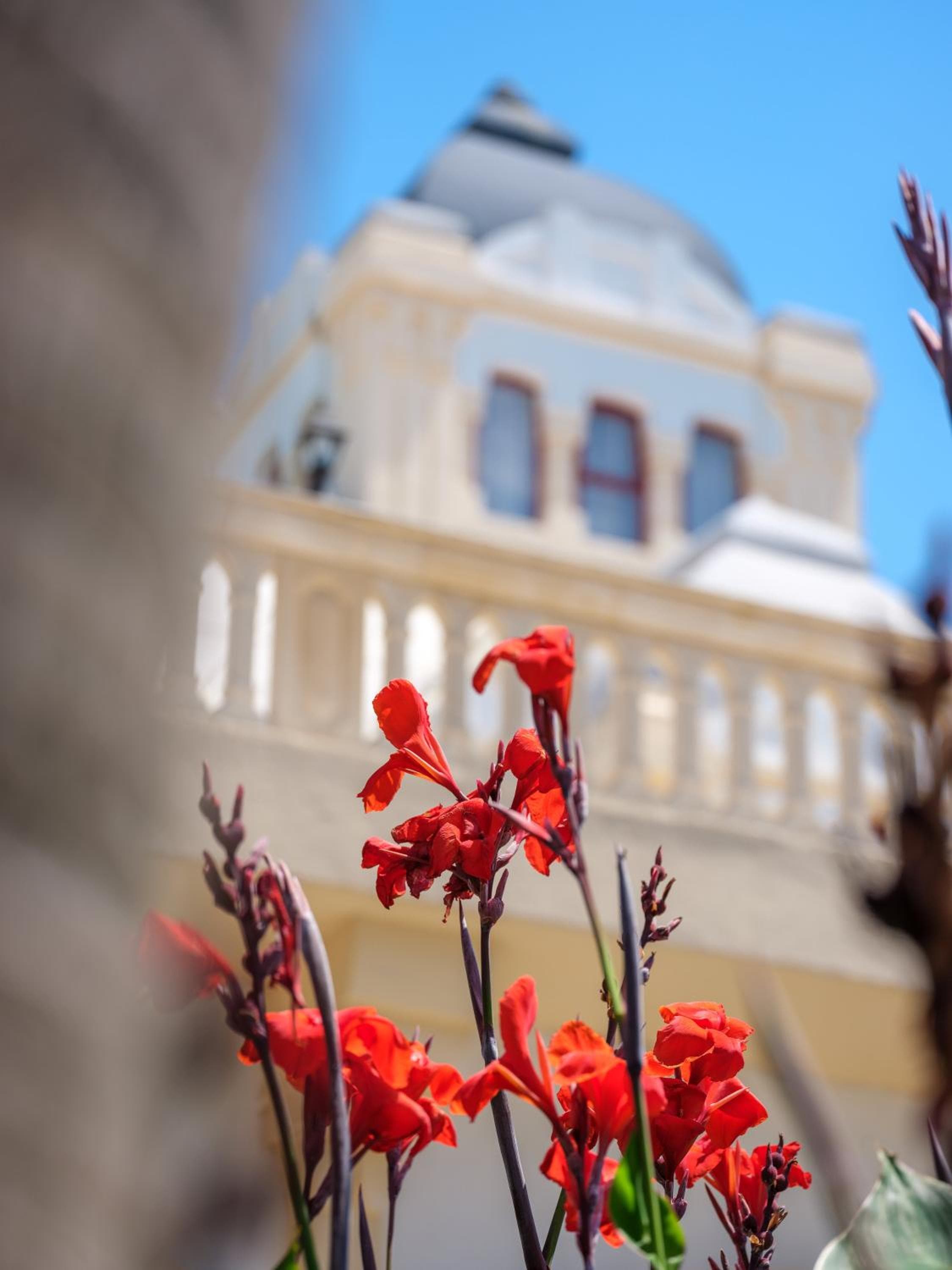 Hotel Ciutat Jardi — 2