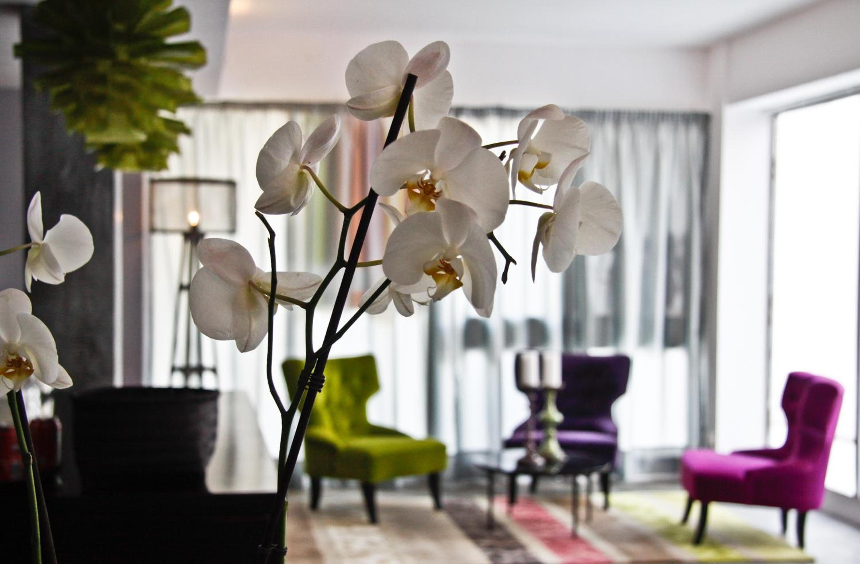 Hotel Feliz — 21