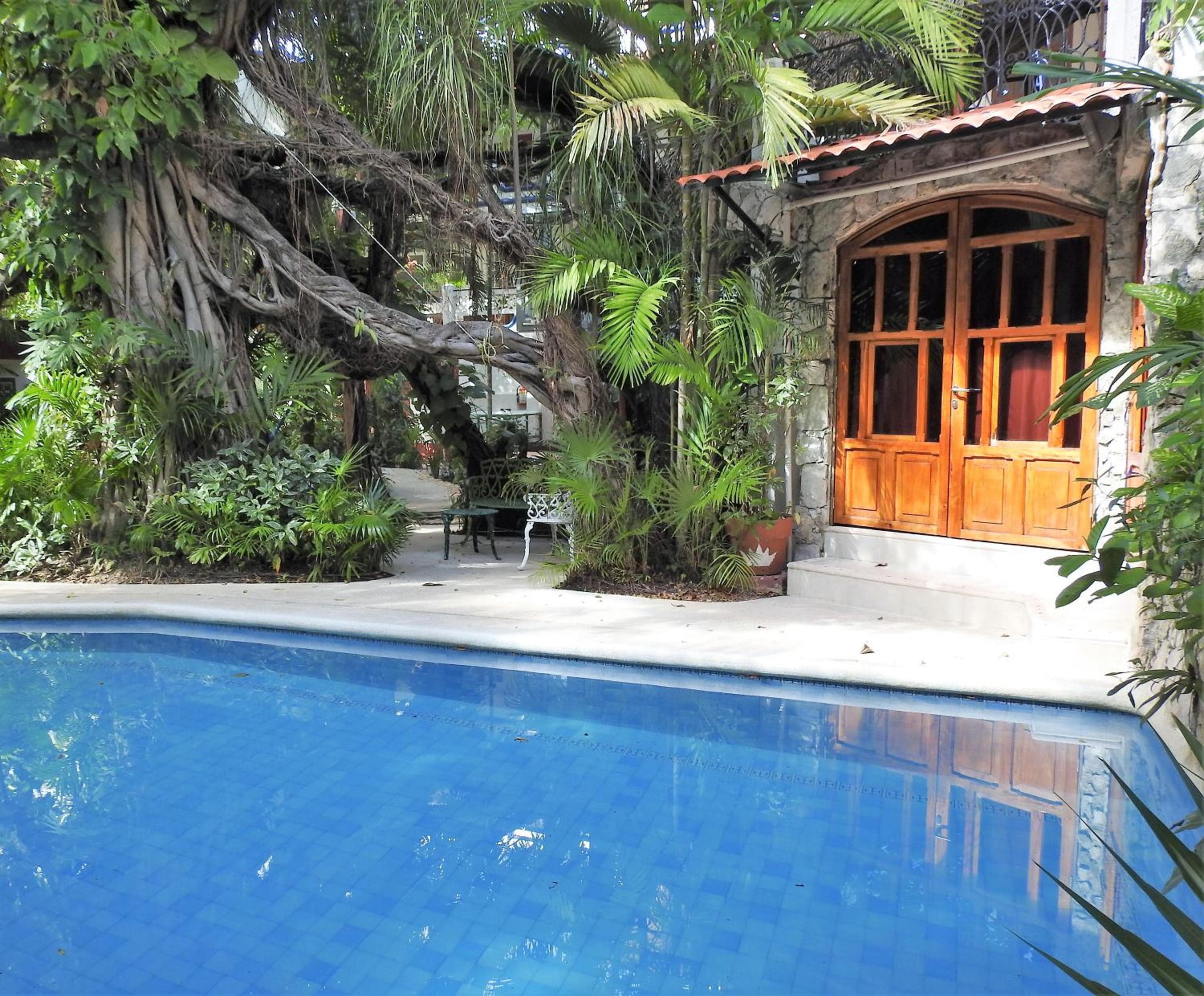 Eco-hotel El Rey del Caribe — 8