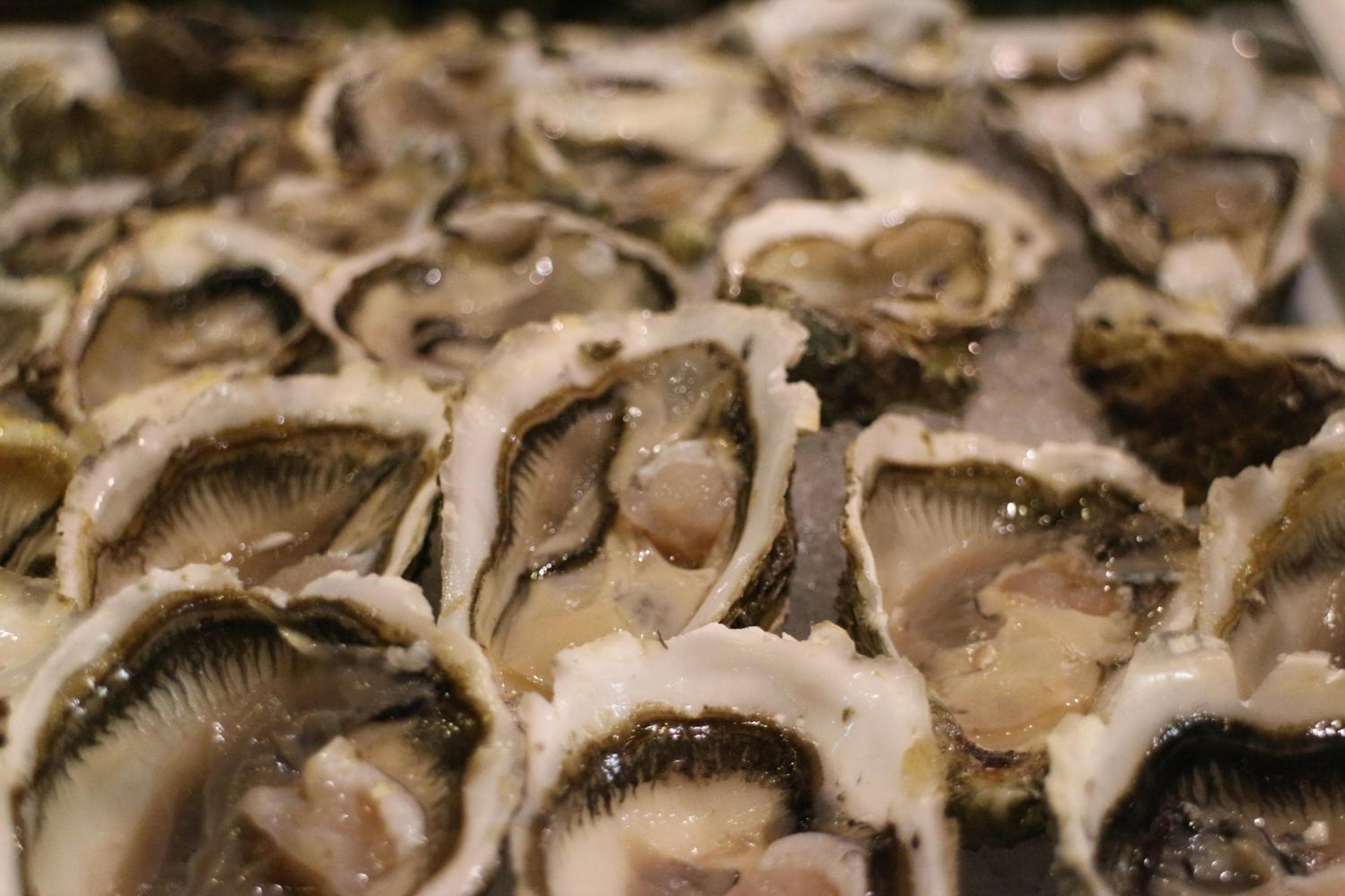 Kenzi Club Agdal Medina - All Inclusive hotel, Avenue Mohamed VI Zone Touristique Agdal, Marrakech, Morocco — photo 34