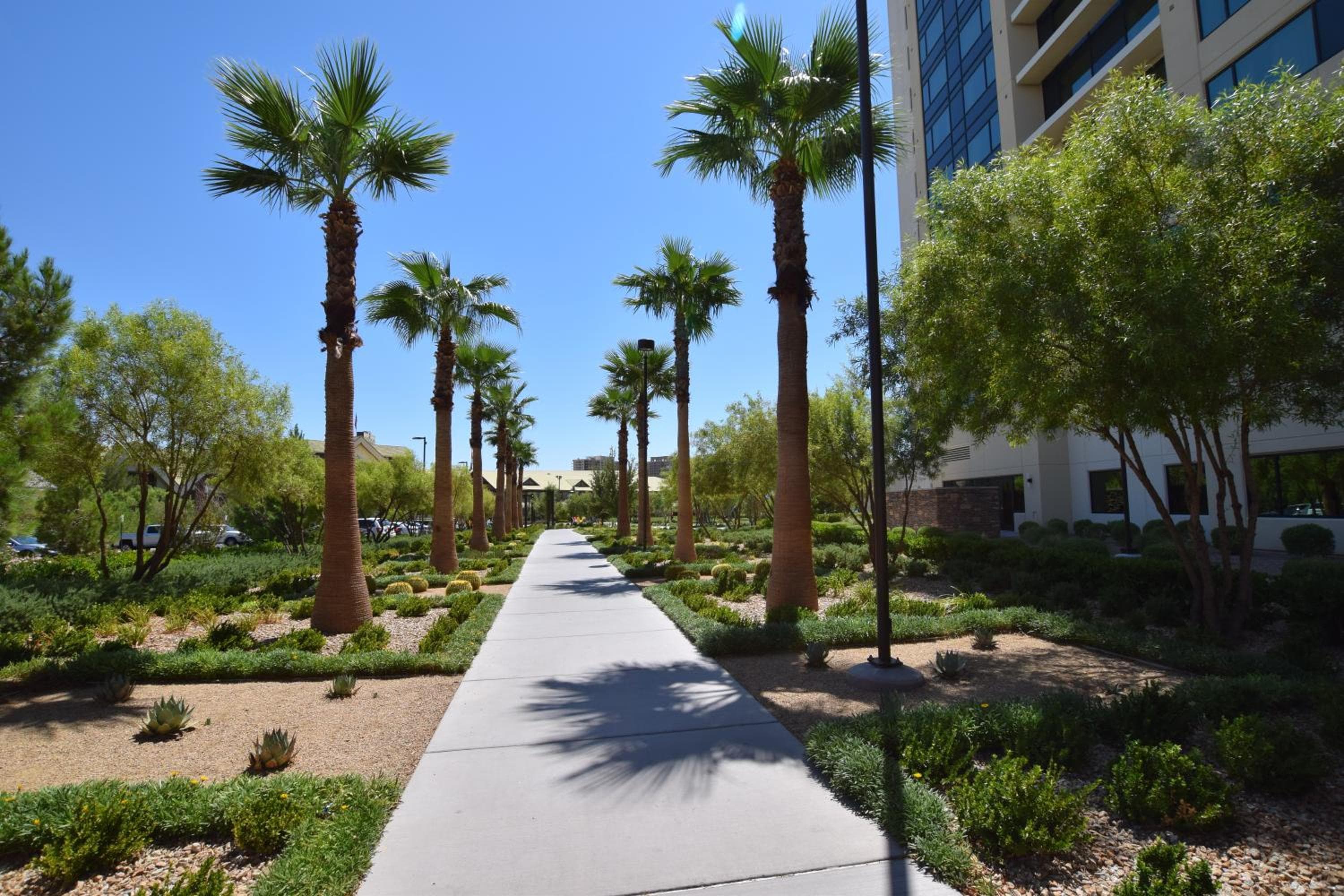 The Berkley, Las Vegas — 5