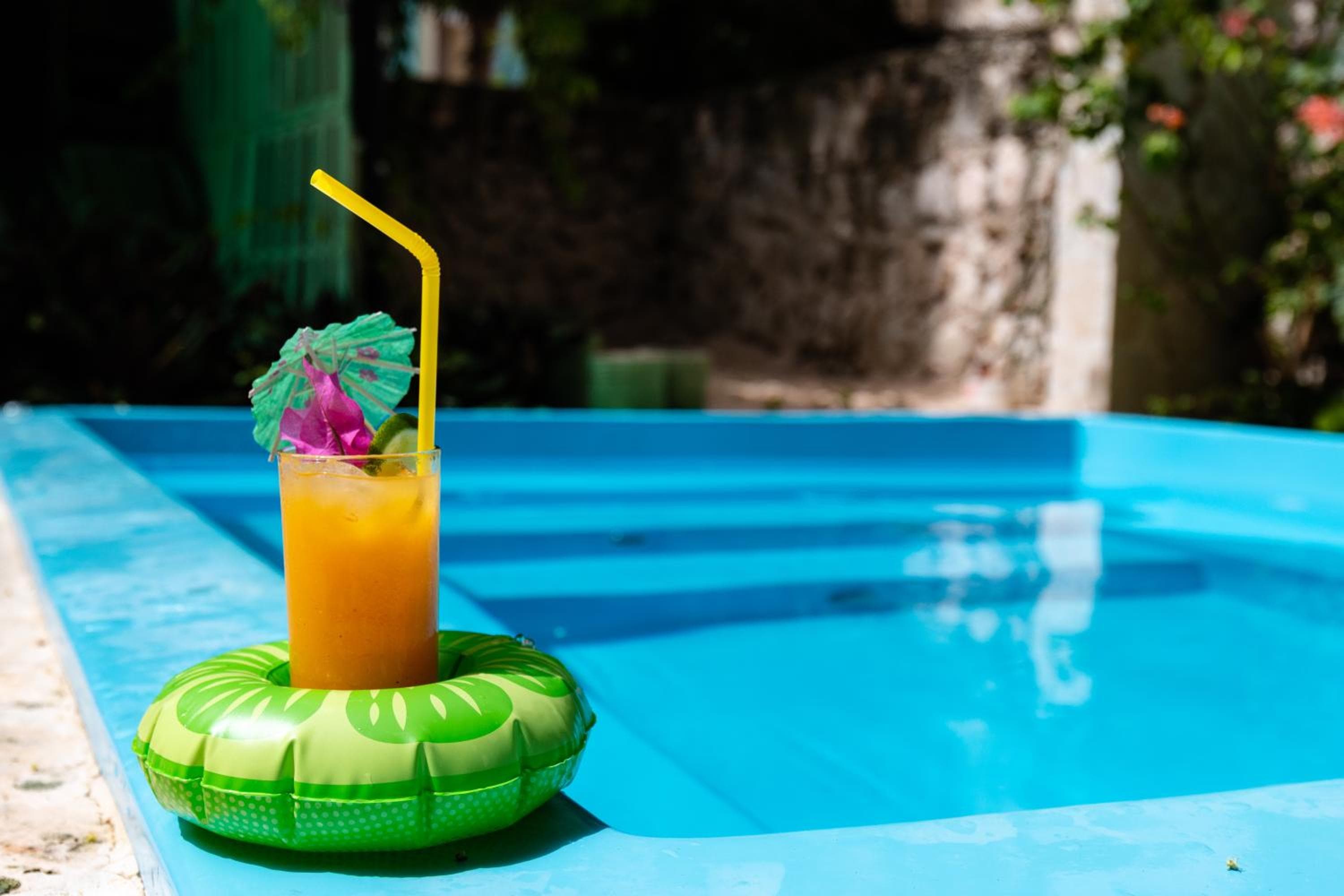 Viaggiatori ecologici della Riviera Punta Cana — 4