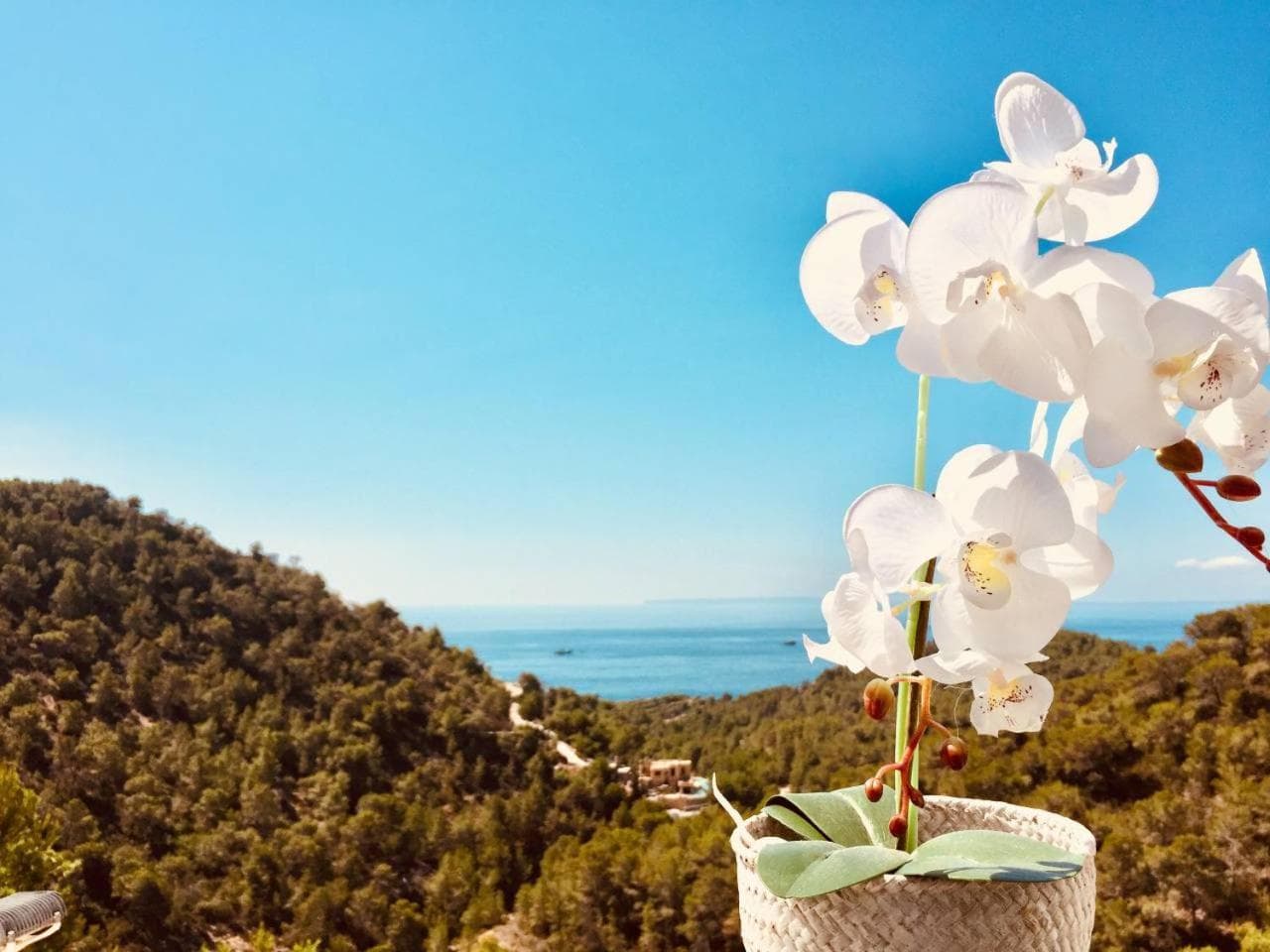 Villa Orquidea - Amazing landscape view — 19