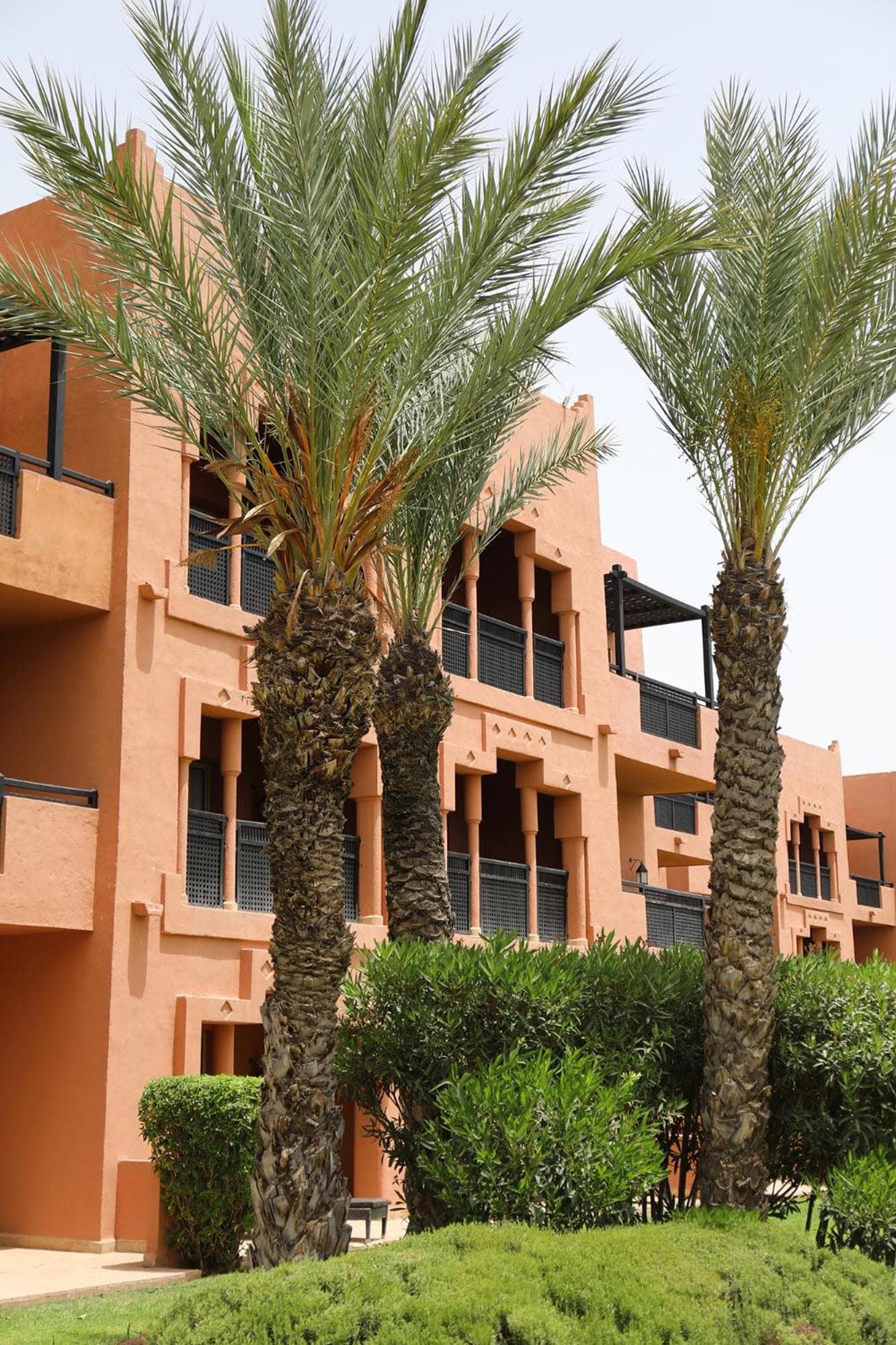 Kenzi Menara Palace & Resort hotel, Avenue Mohamed VI Zone Agdal, Marrakech, Morocco — photo 11