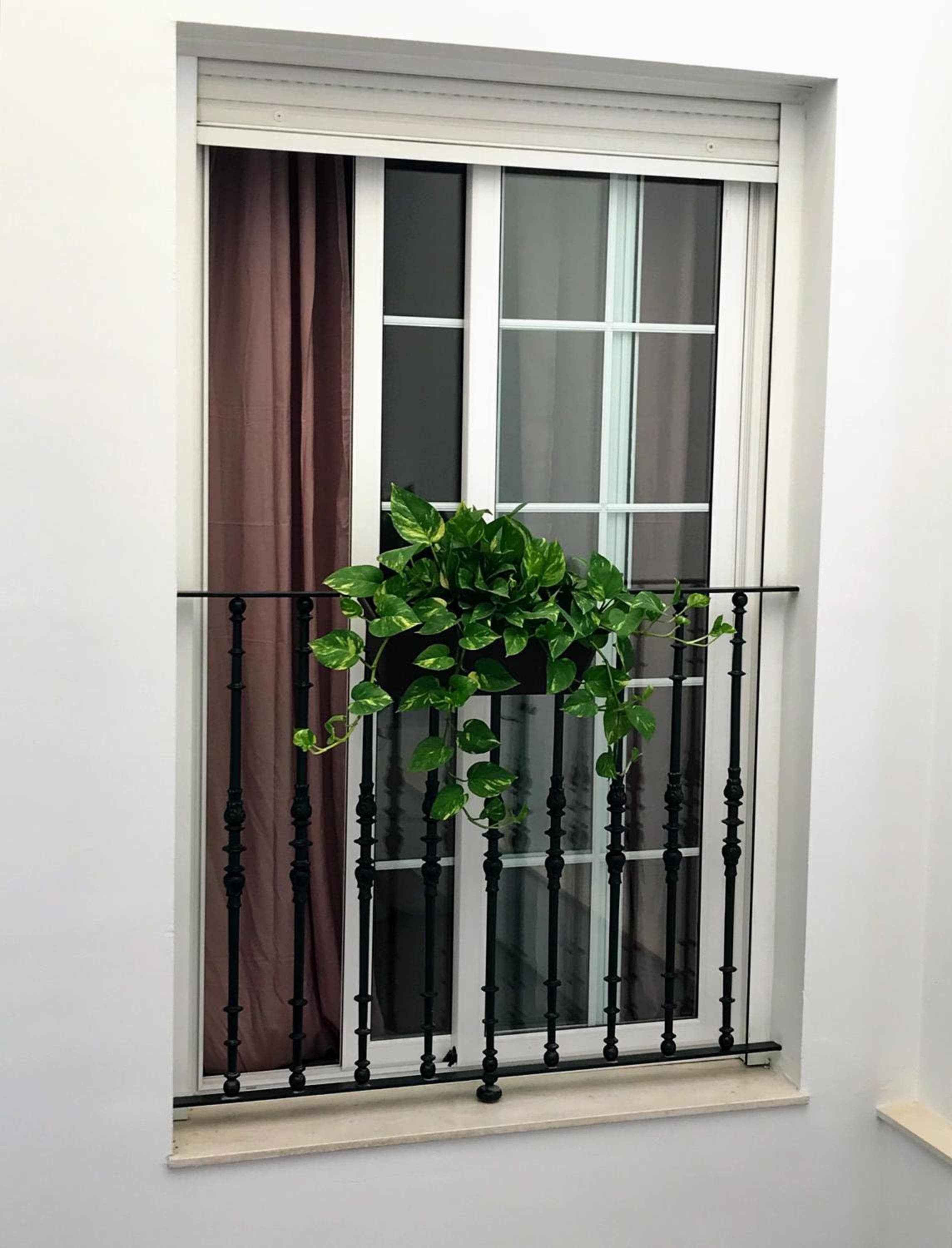 Triana Luxury Home — 15