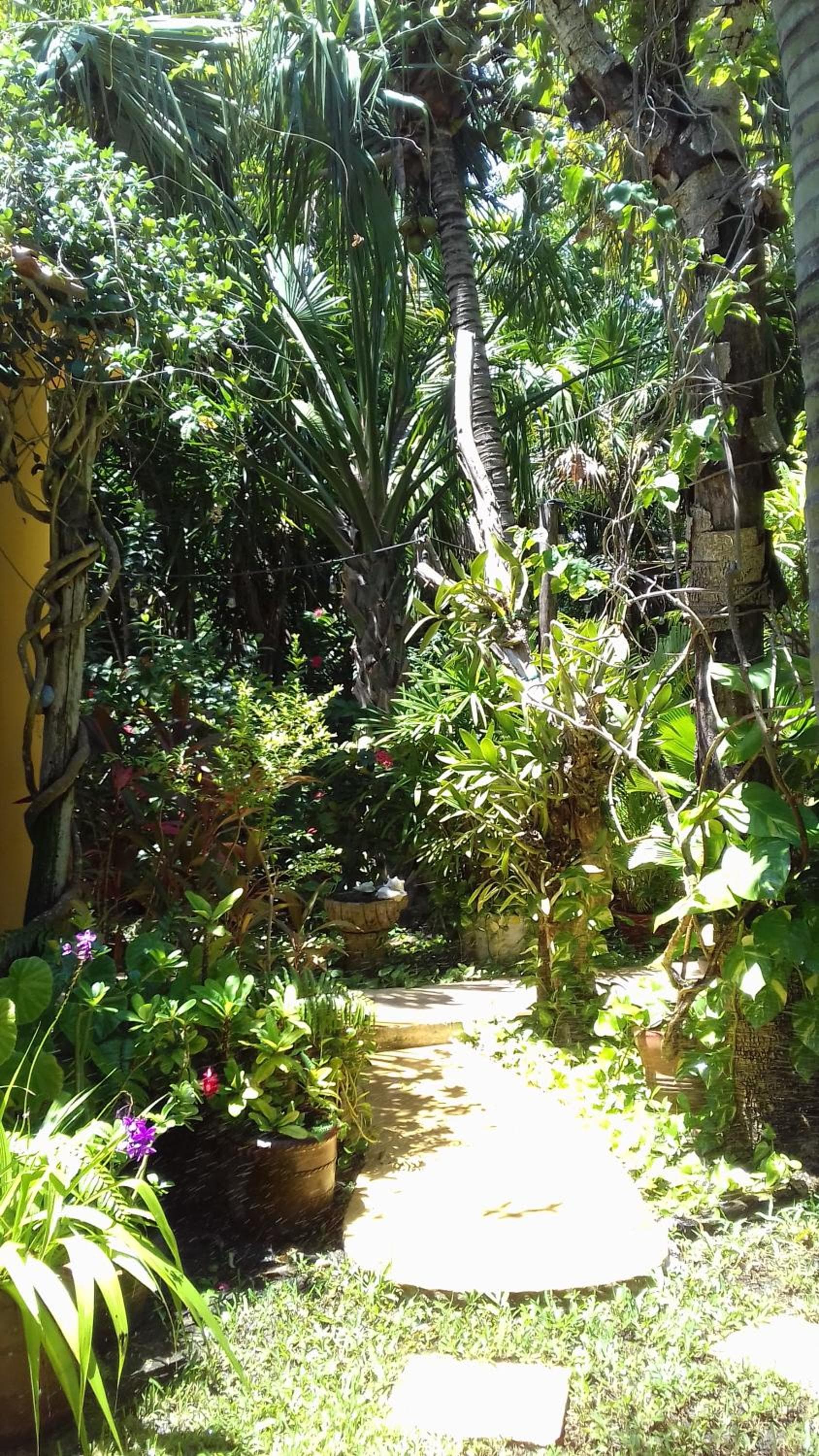 Casa Kin33 — 5
