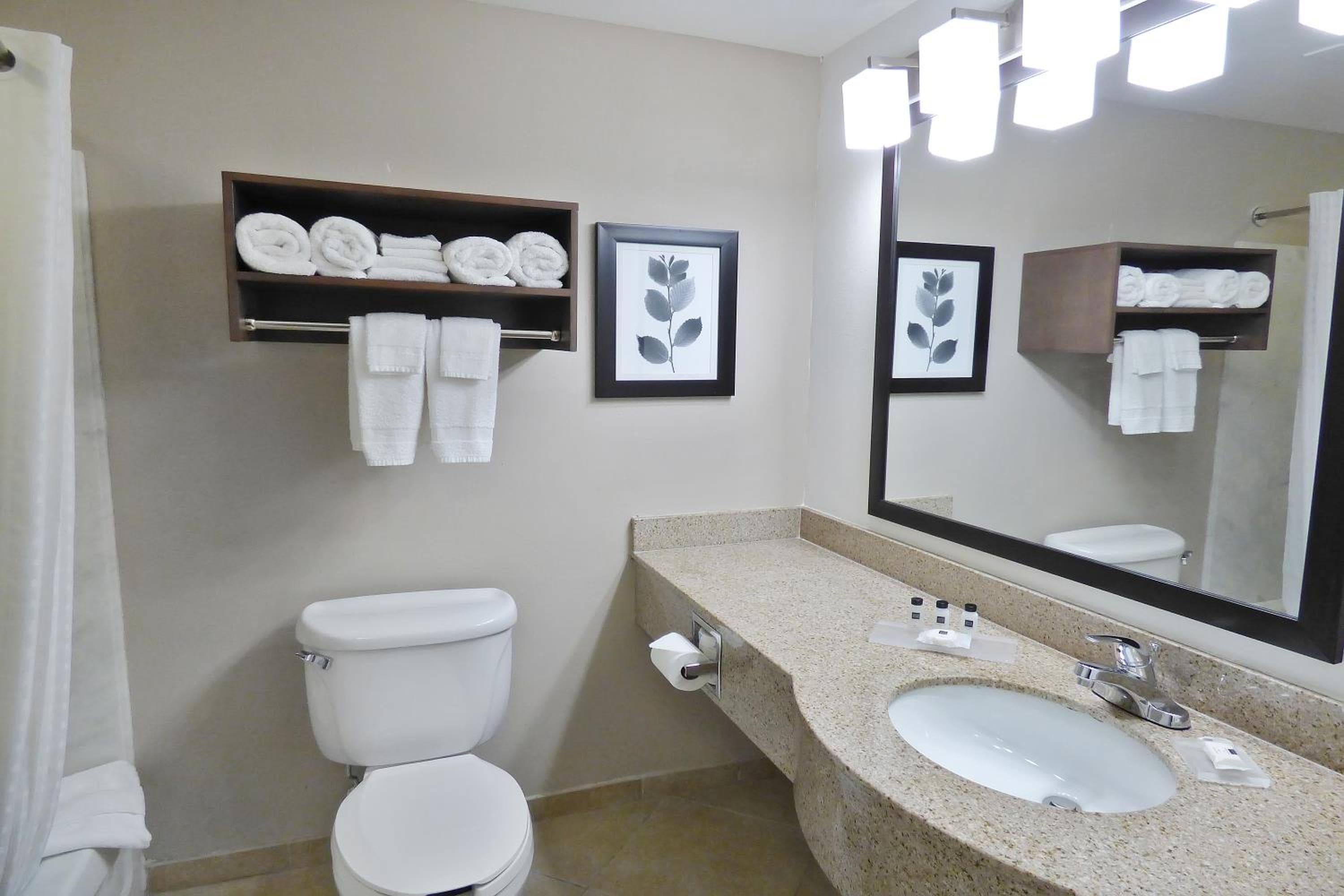 Country Inn & Suites by Radisson, Tampa-Brandon, FL — 29