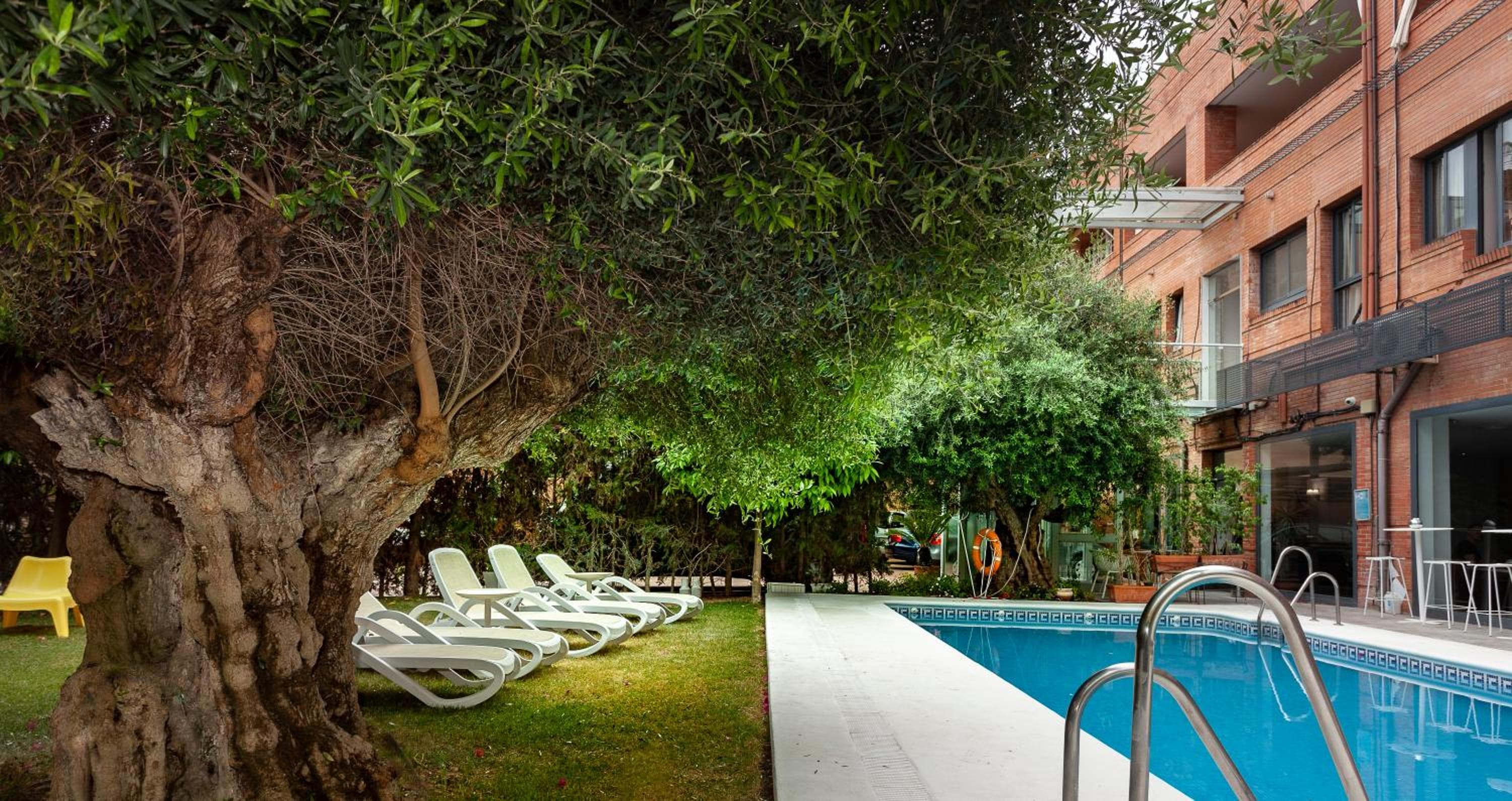 AACR Hotel Monteolivos — 29
