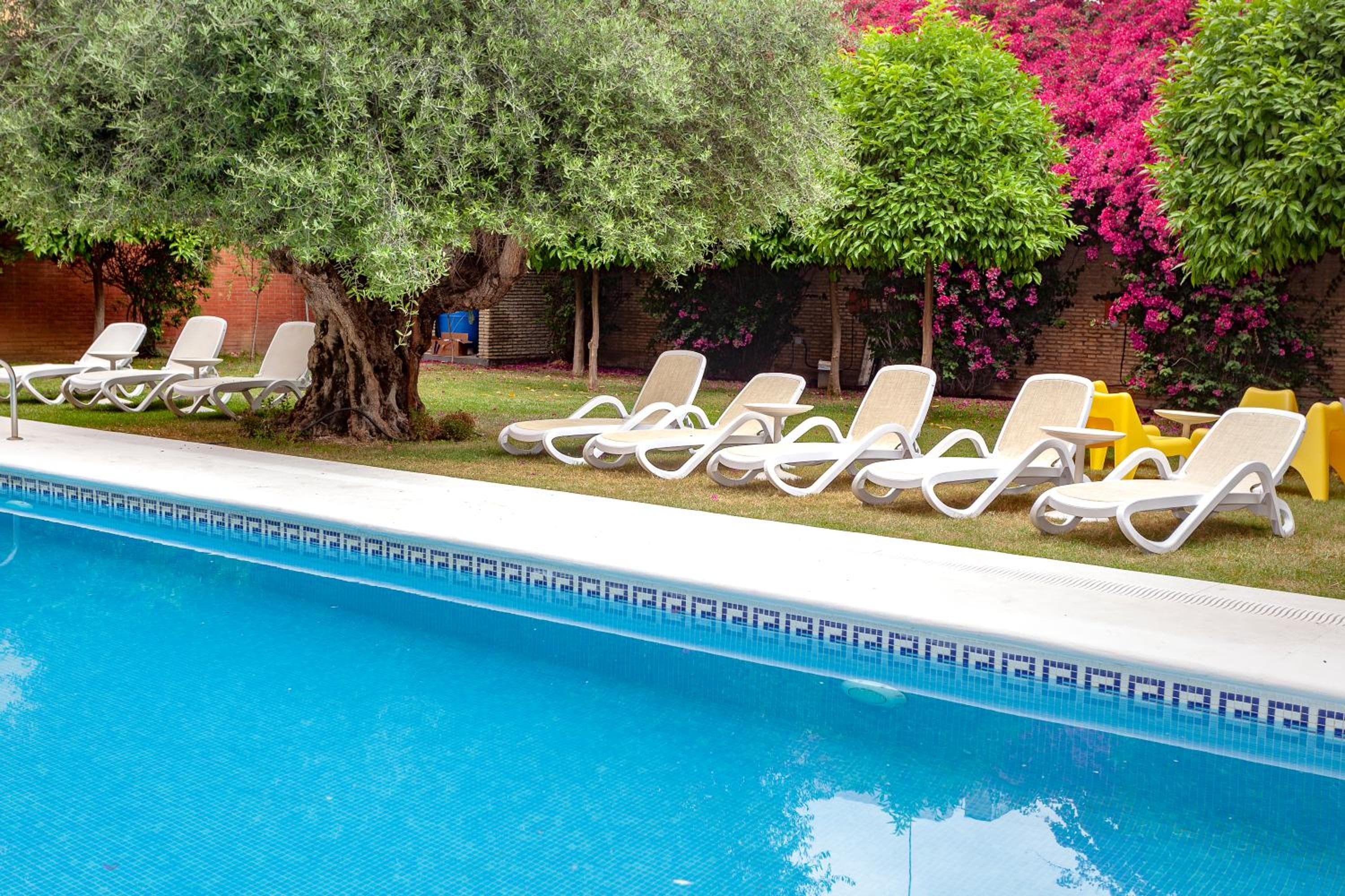 AACR Hotel Monteolivos — 1