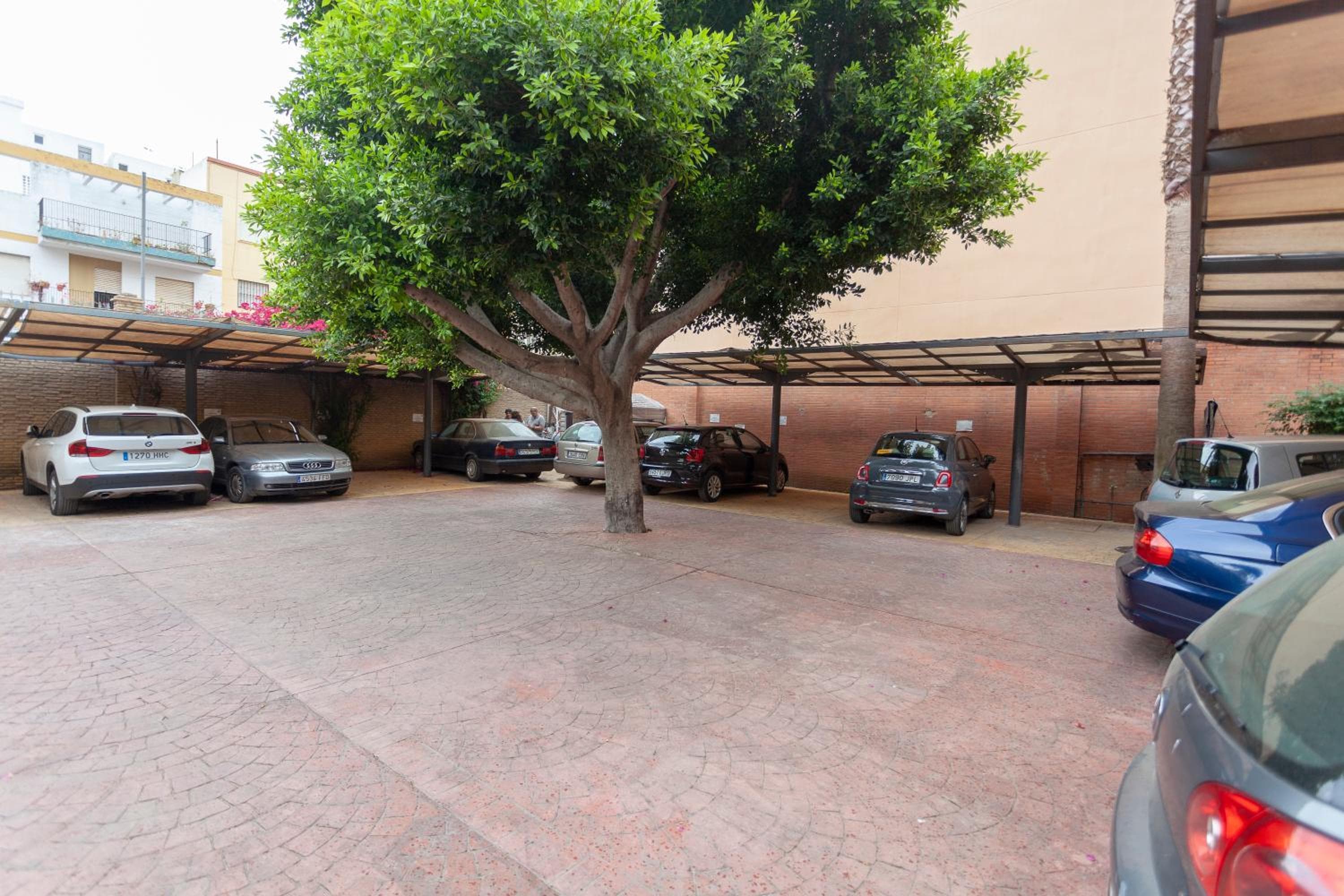 AACR Hotel Monteolivos — 11