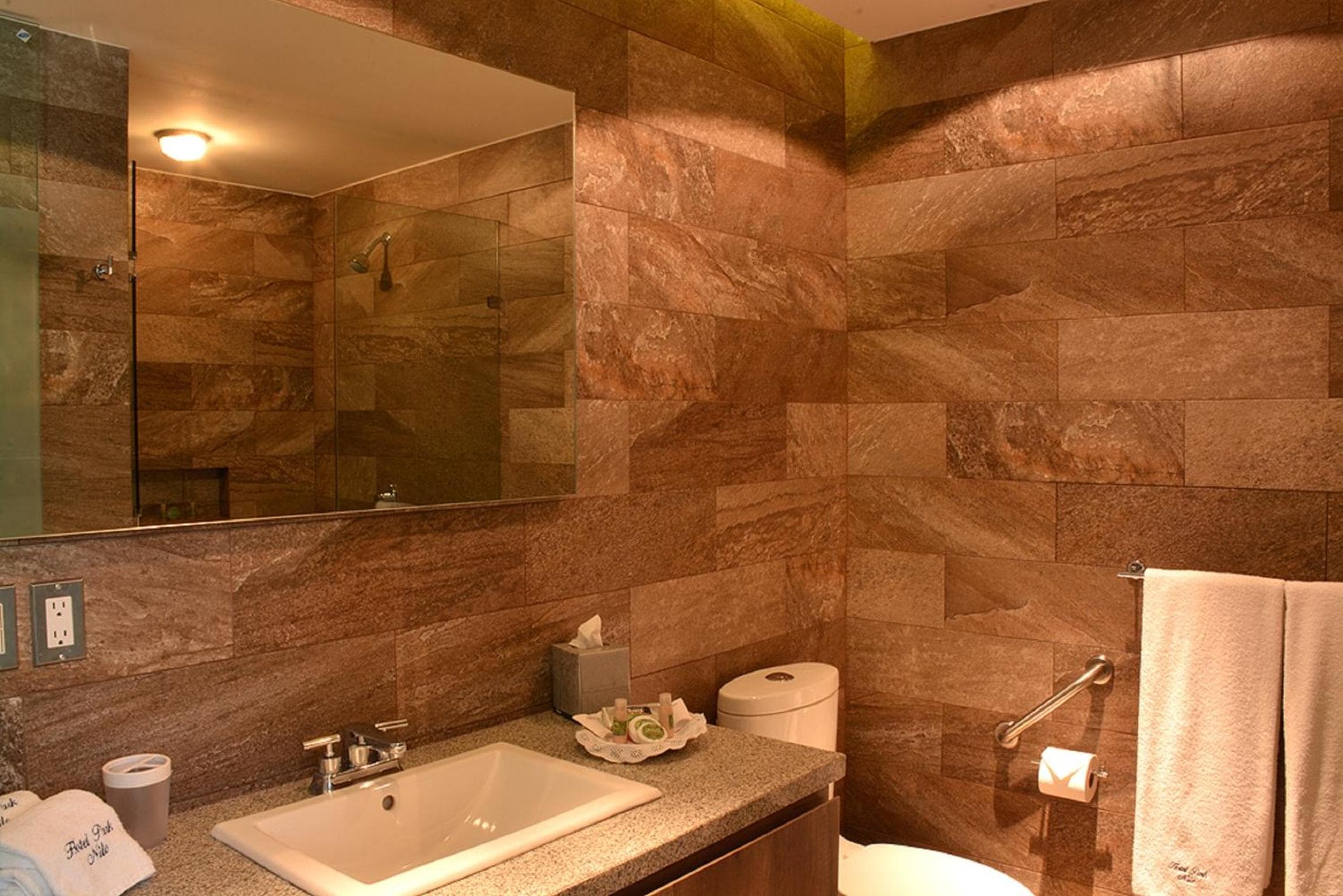 Hotel Park Nilo Reforma — 9