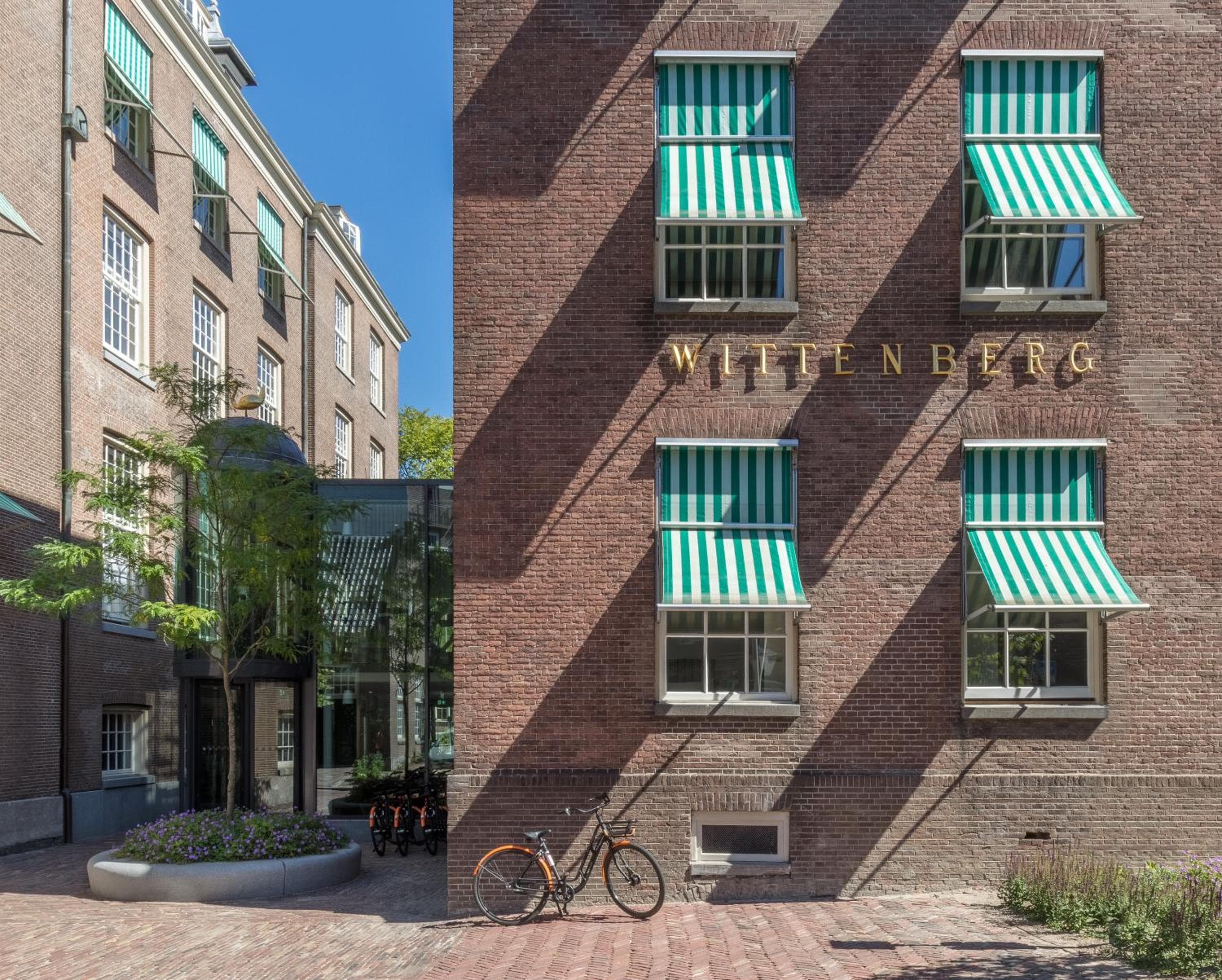 Wittenberg by Cove — 6