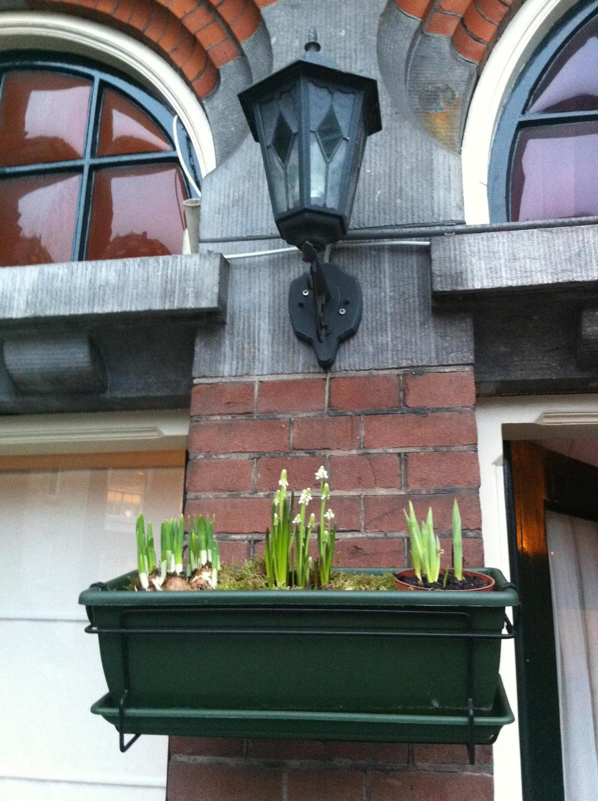 Hotel Clemens — 28