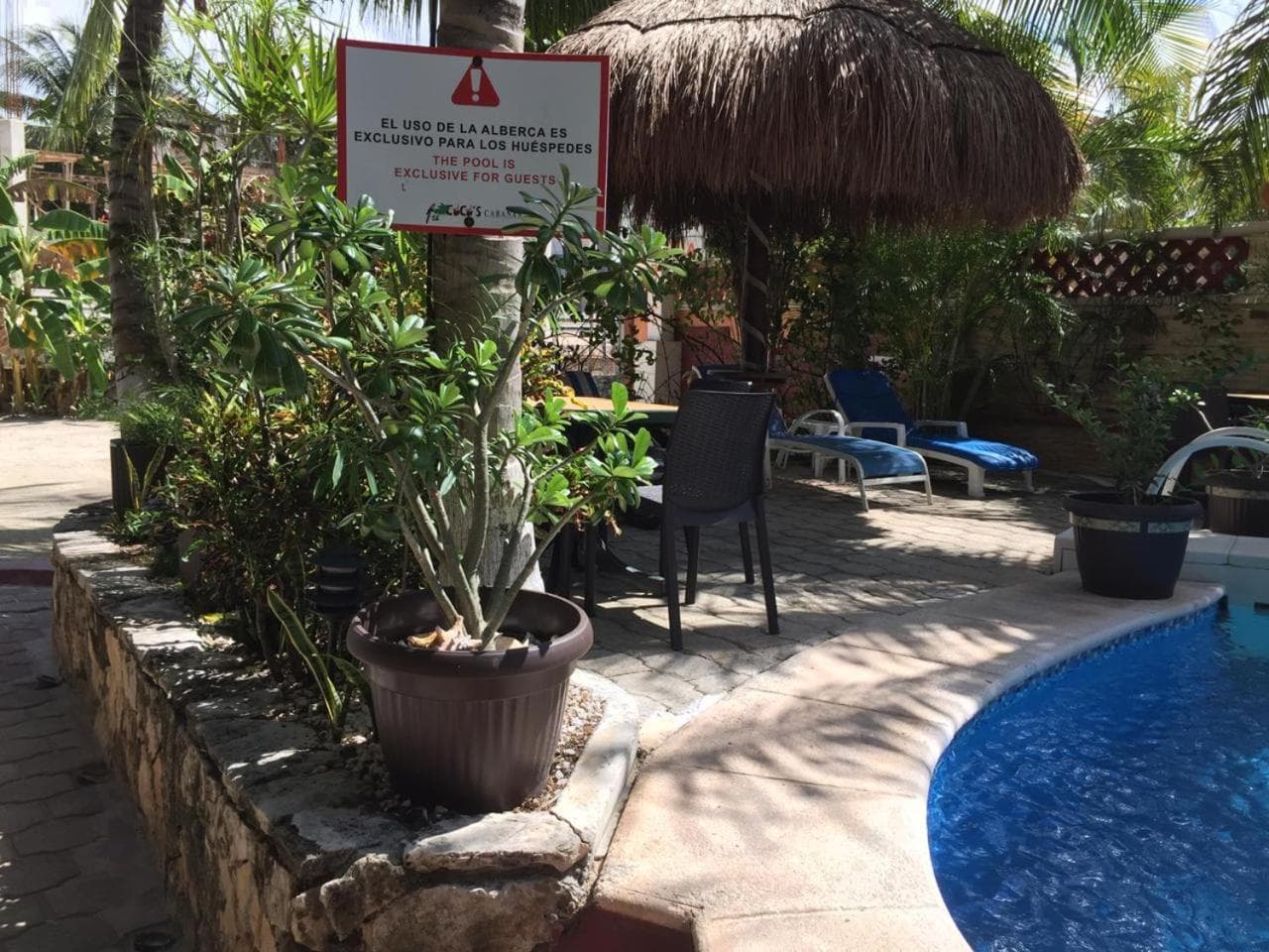 Cocos Cabañas Playa del Carmen Solo adulti — 4