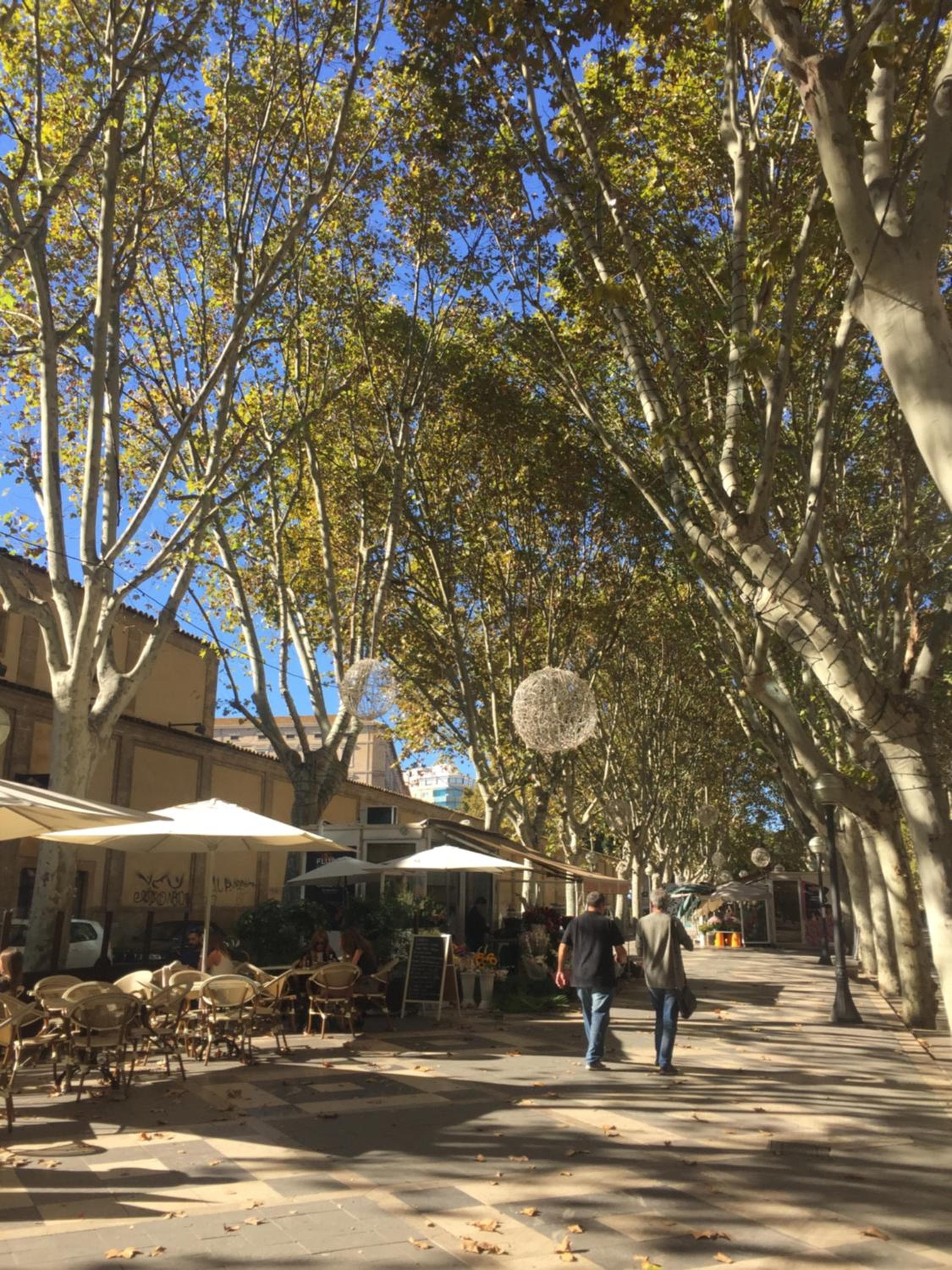 Cream Homes La Rambla, TURISMO DE INTERIOR — 27