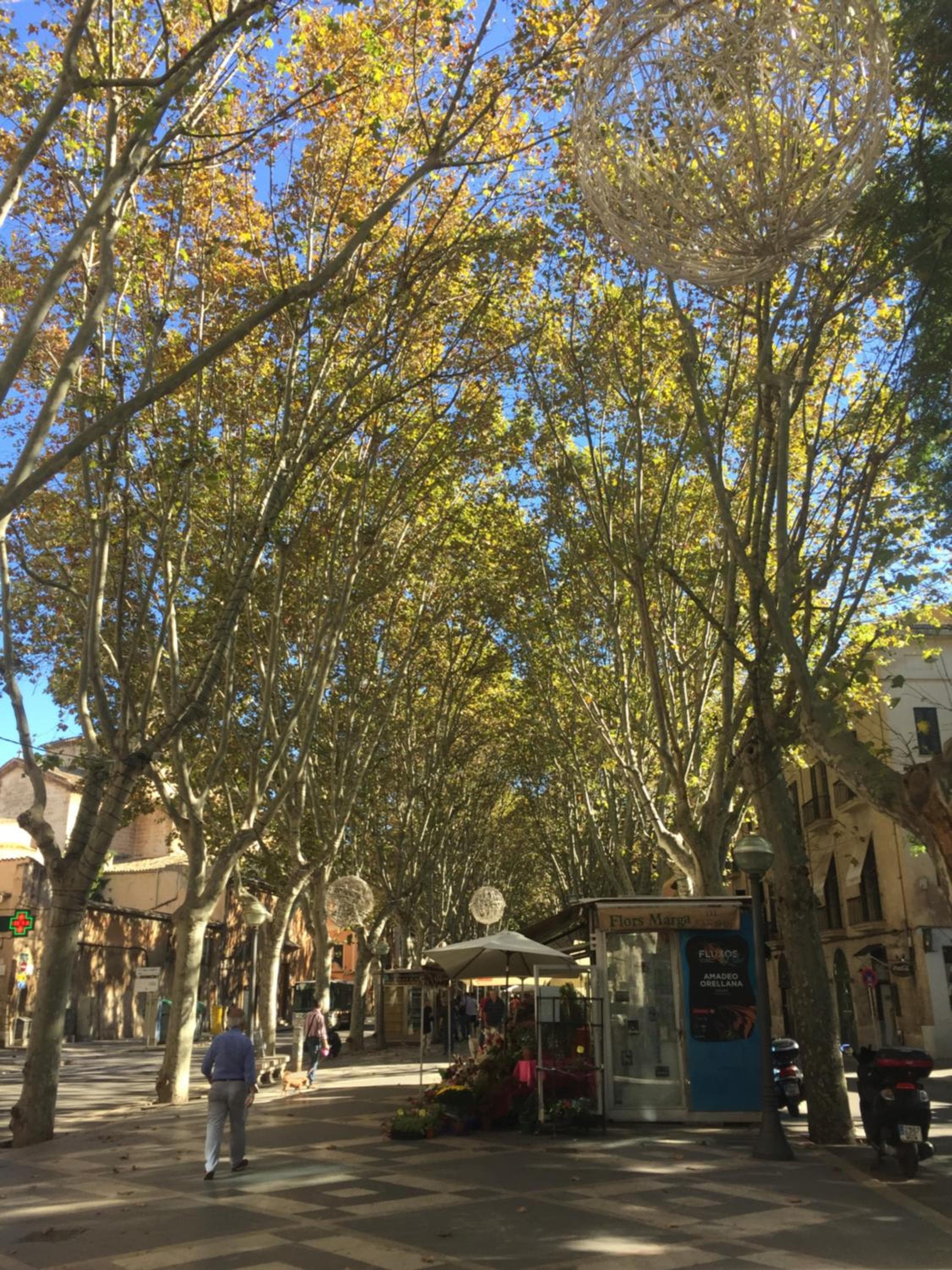 Cream Homes La Rambla, TURISMO DE INTERIOR — 28