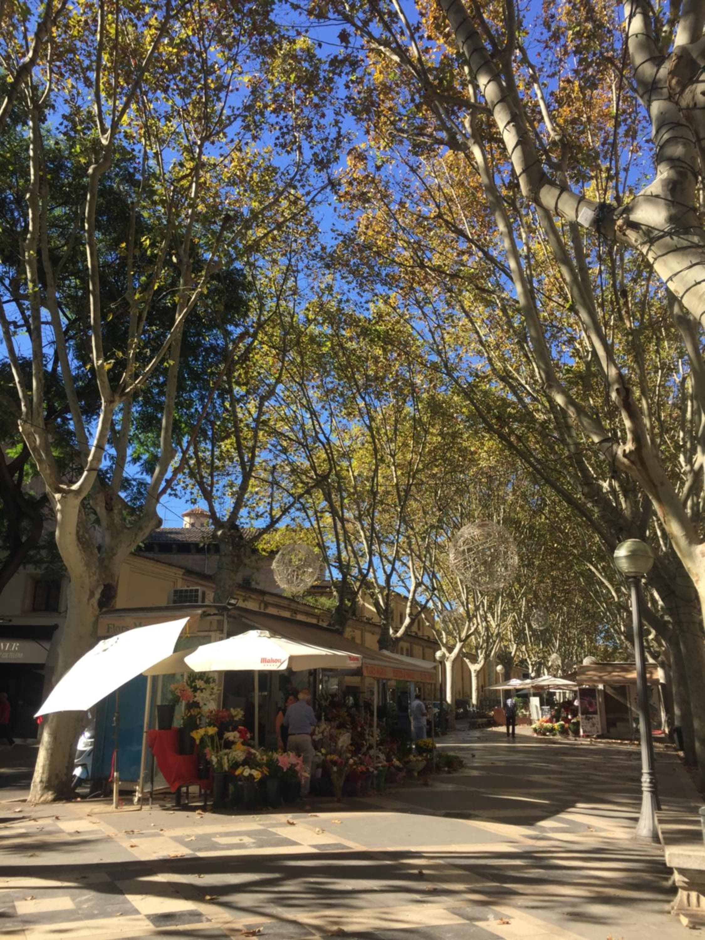 Cream Homes La Rambla, TURISMO DE INTERIOR — 29