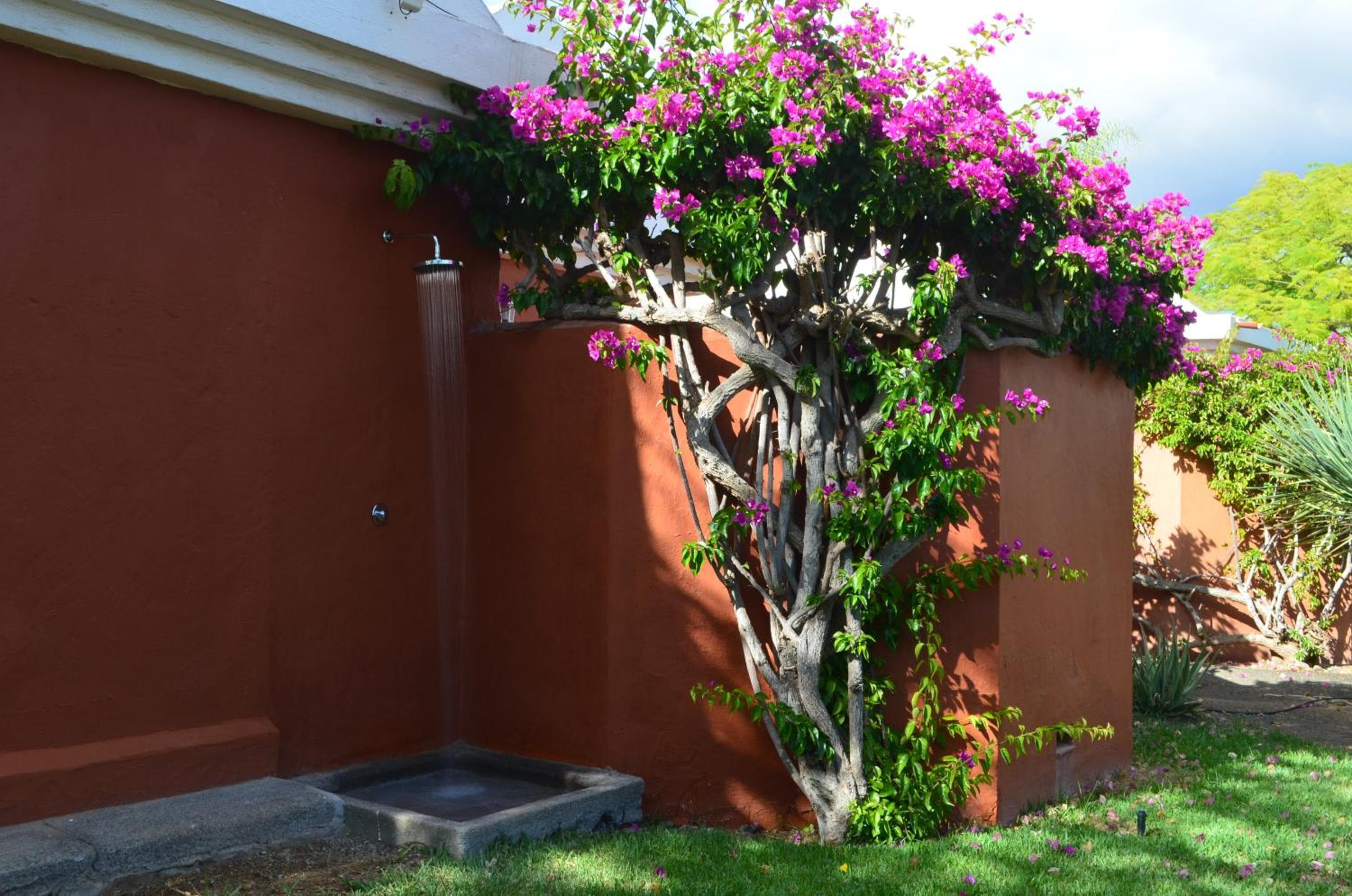 The Peaches Bungalows 45 & 46 — 2
