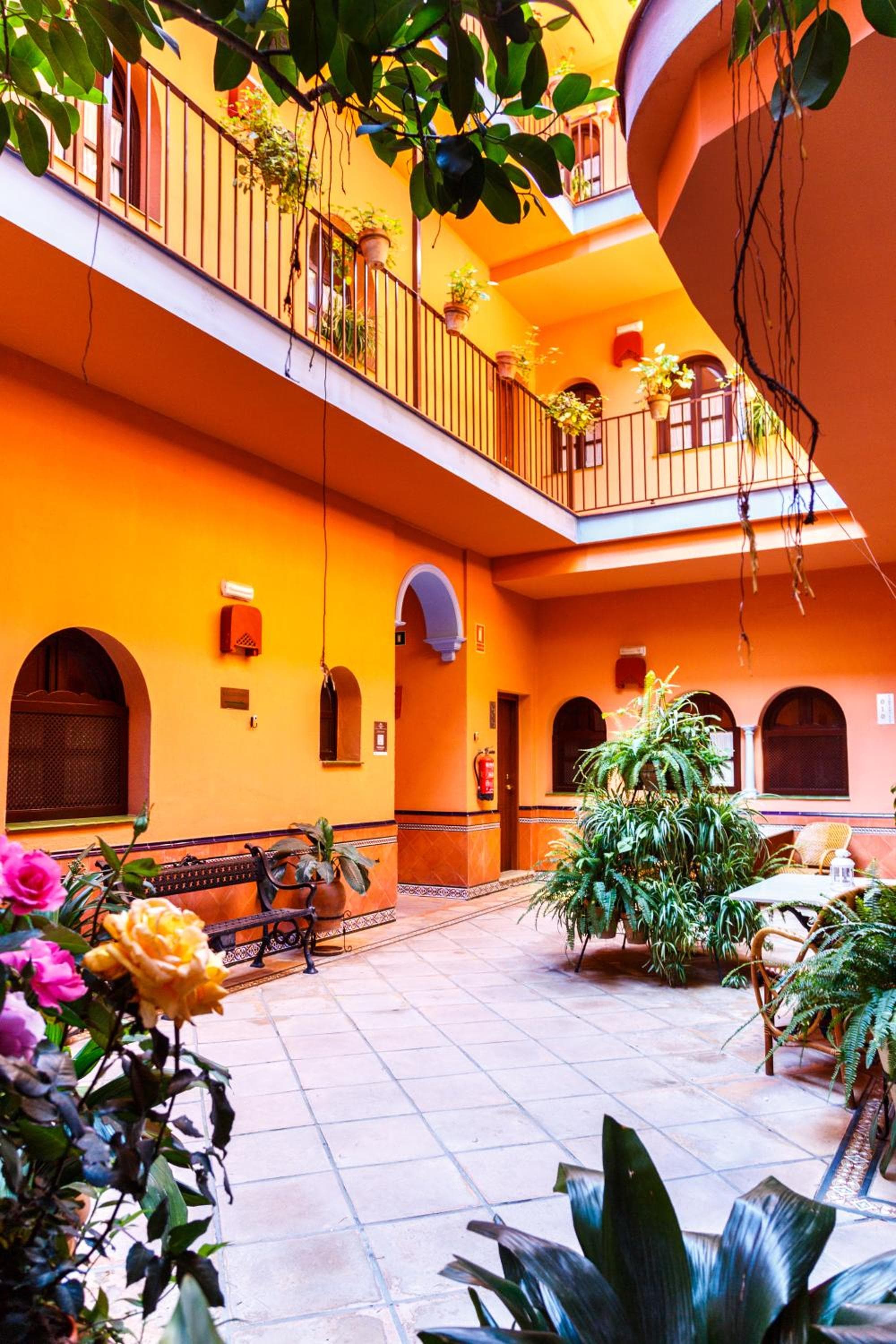 Patio de La Alameda — 29